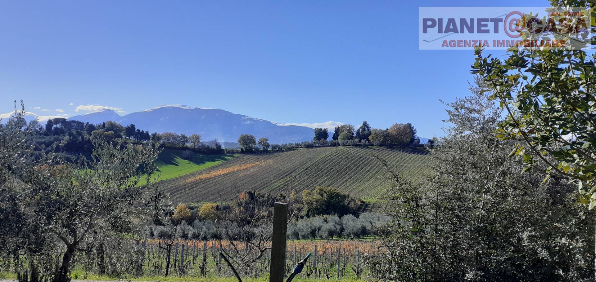 Casa indipendente in vendita a Offida
