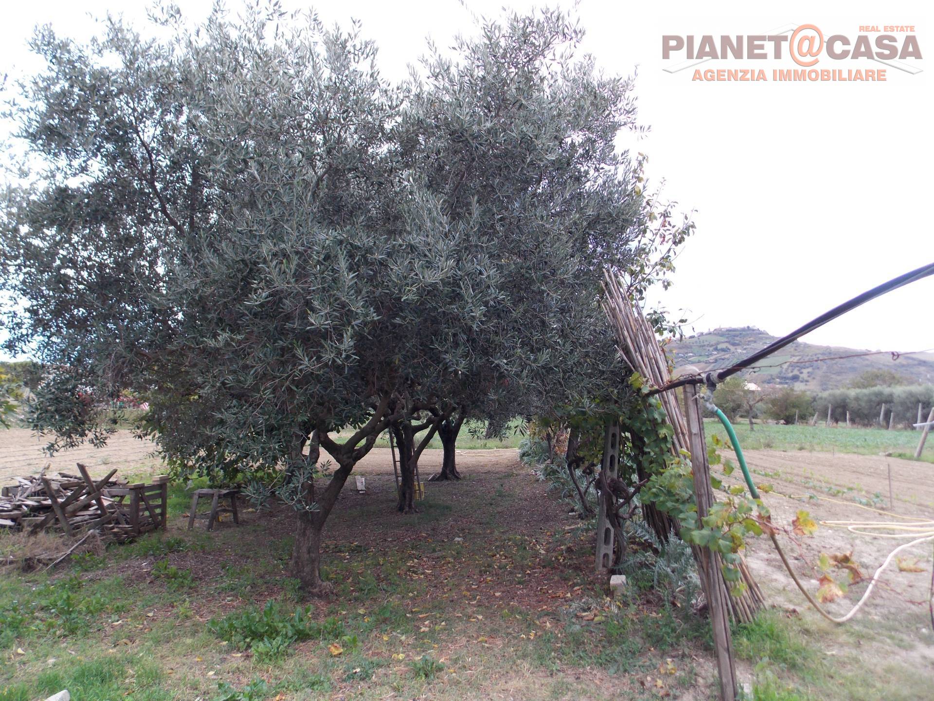 Terreno Edificabile in vendita a Monteprandone, CENTOBUCHI