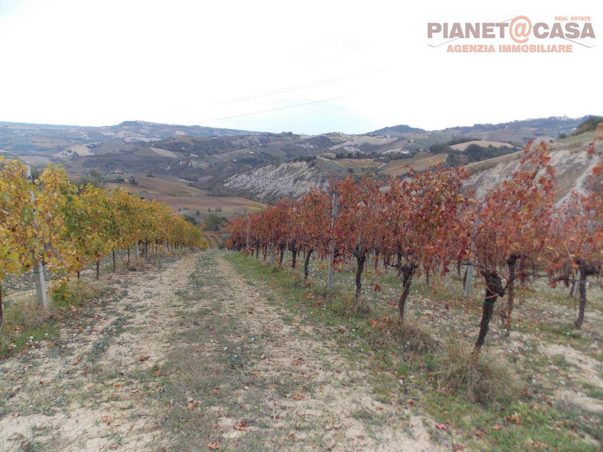Terreno Agricolo in vendita a Ripatransone