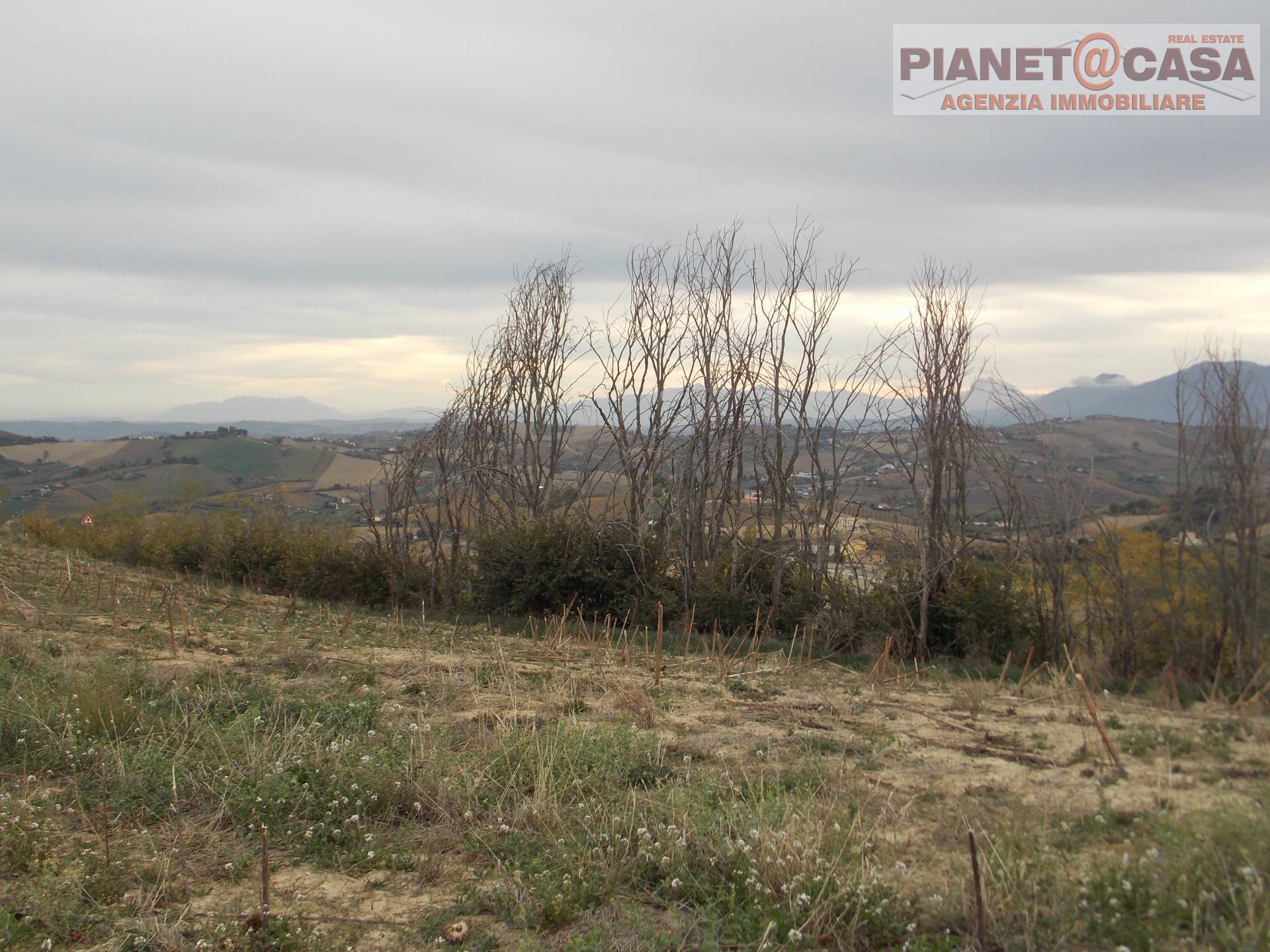 Terreno Agricolo in vendita a Ripatransone