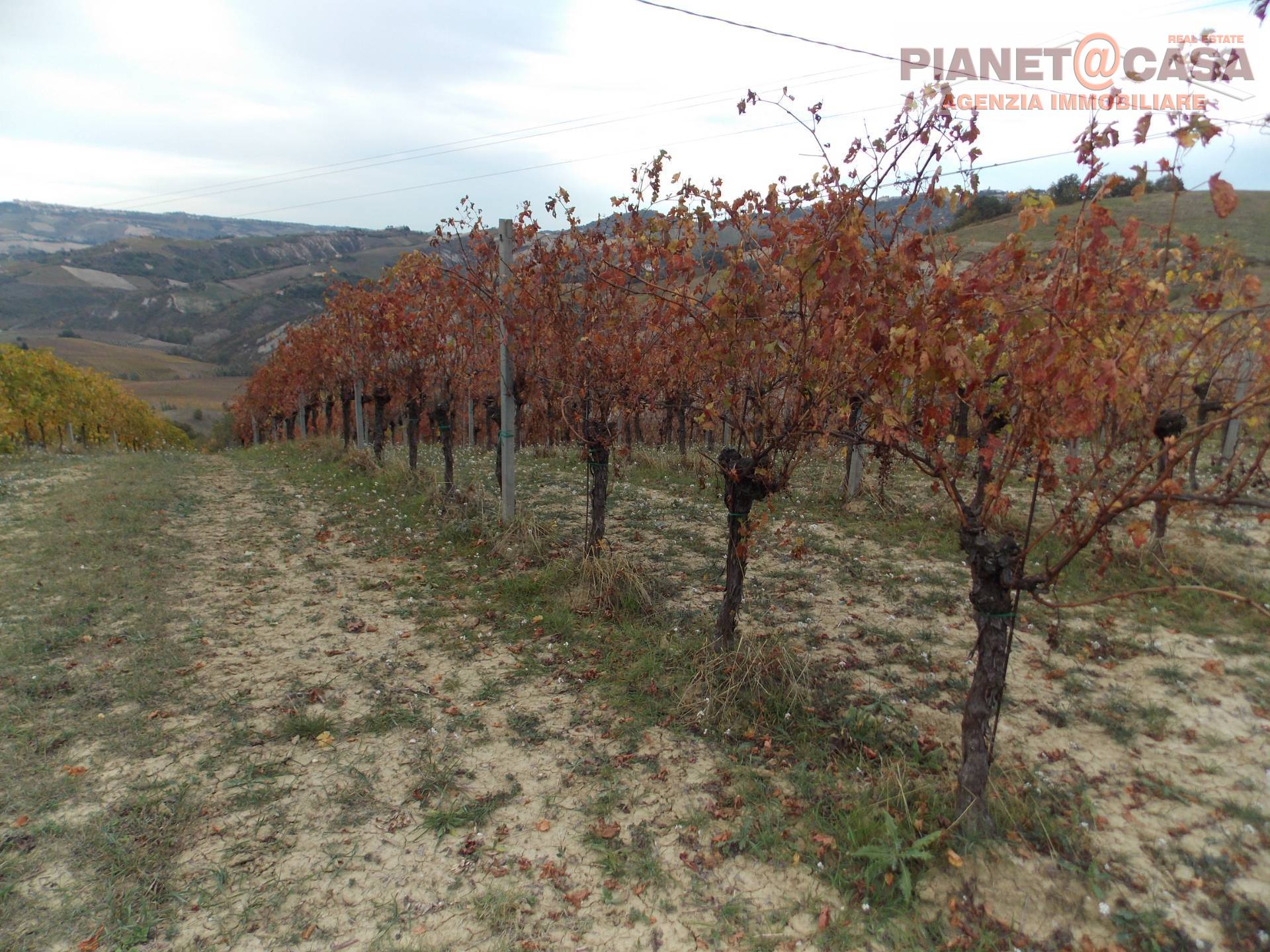 Terreno Agricolo in vendita a Ripatransone