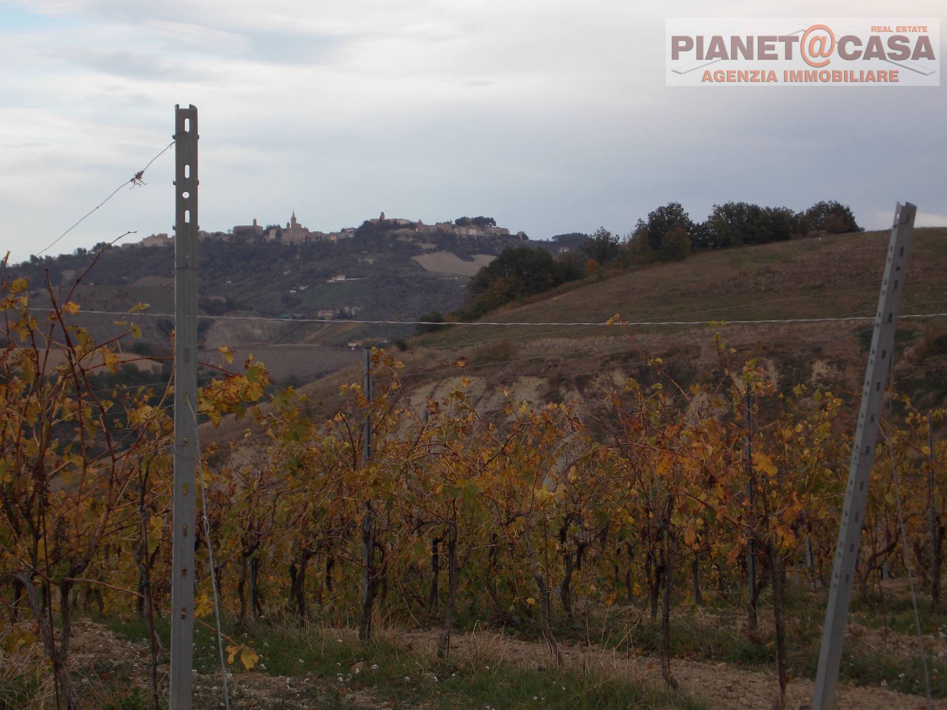 Terreno Agricolo in vendita a Ripatransone