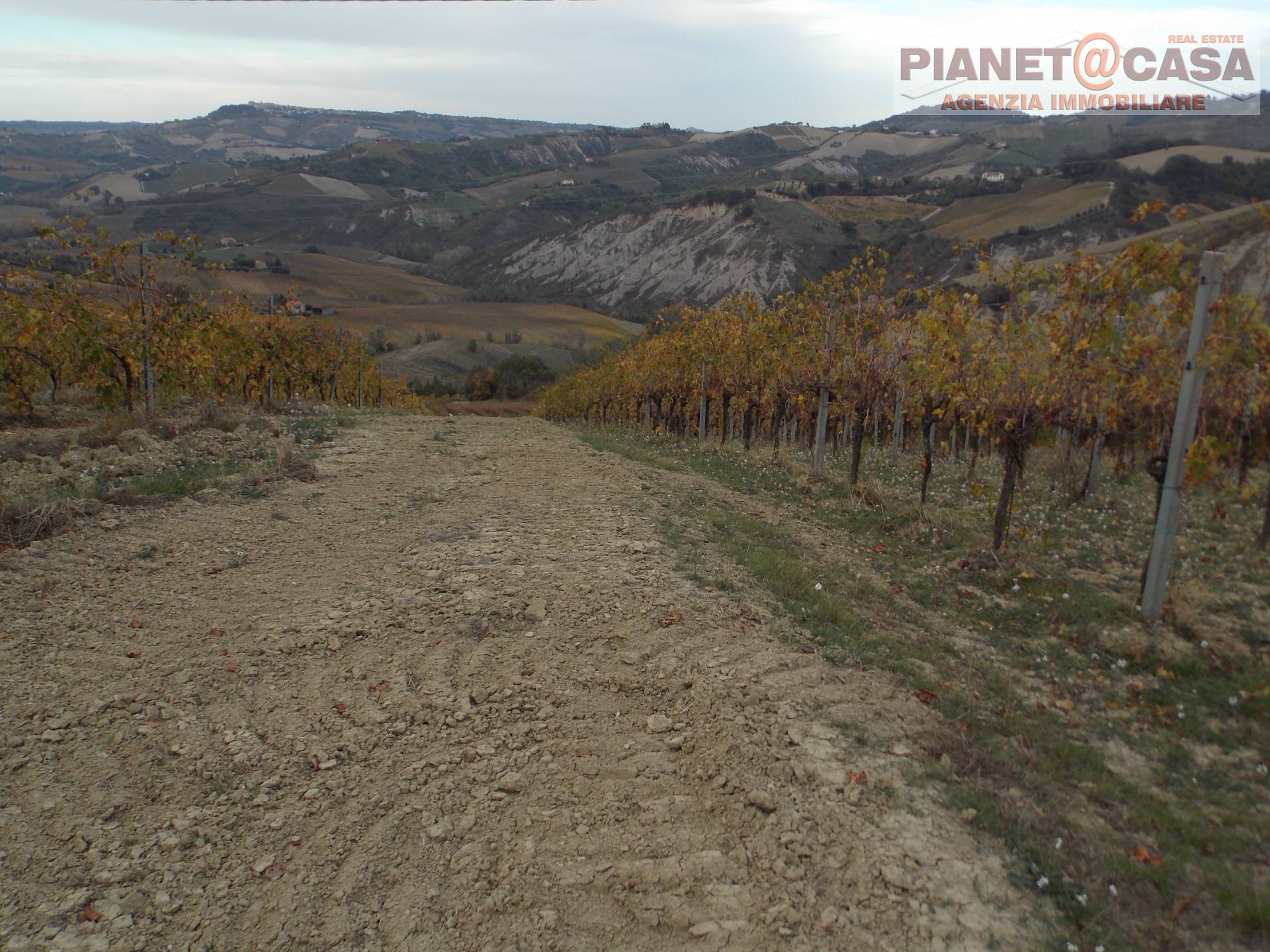 Terreno Agricolo in vendita a Ripatransone