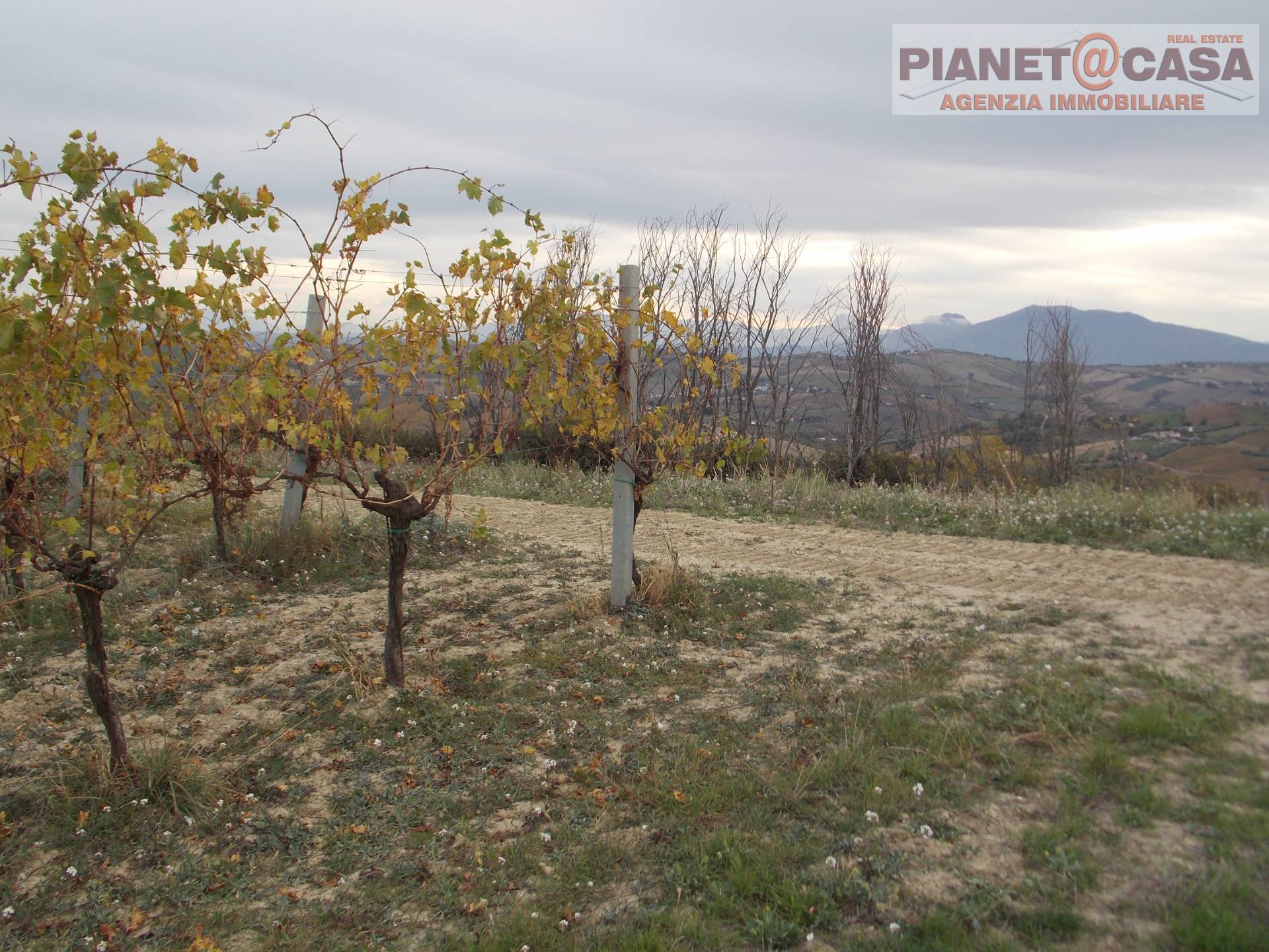 Terreno Agricolo in vendita a Ripatransone