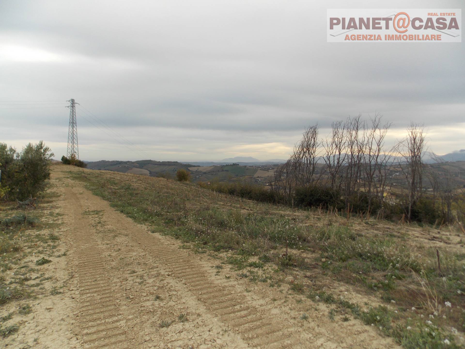 Terreno Agricolo in vendita a Ripatransone