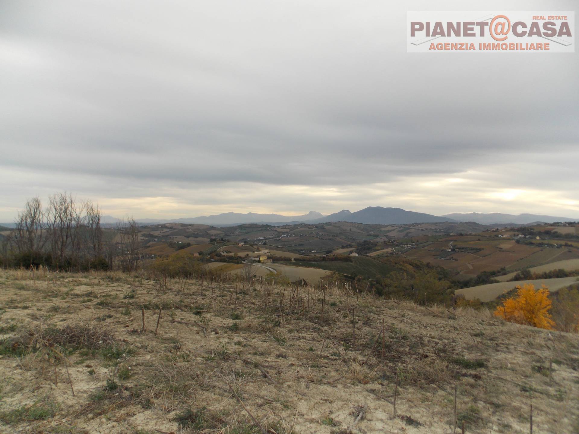 Terreno Agricolo in vendita a Ripatransone