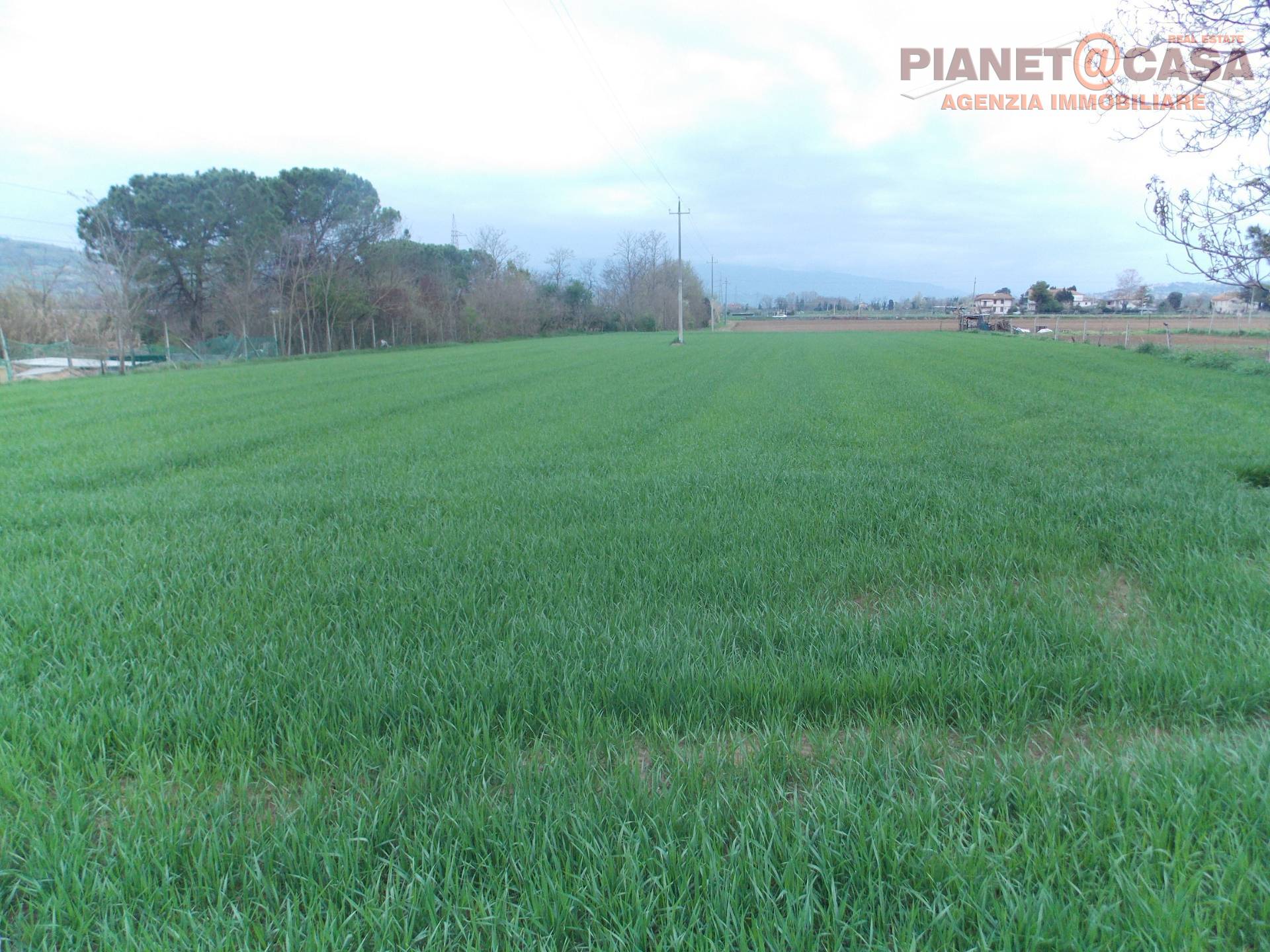 Terreno Artigianale/Industriale in vendita a Monsampolo del Tronto, STELLA