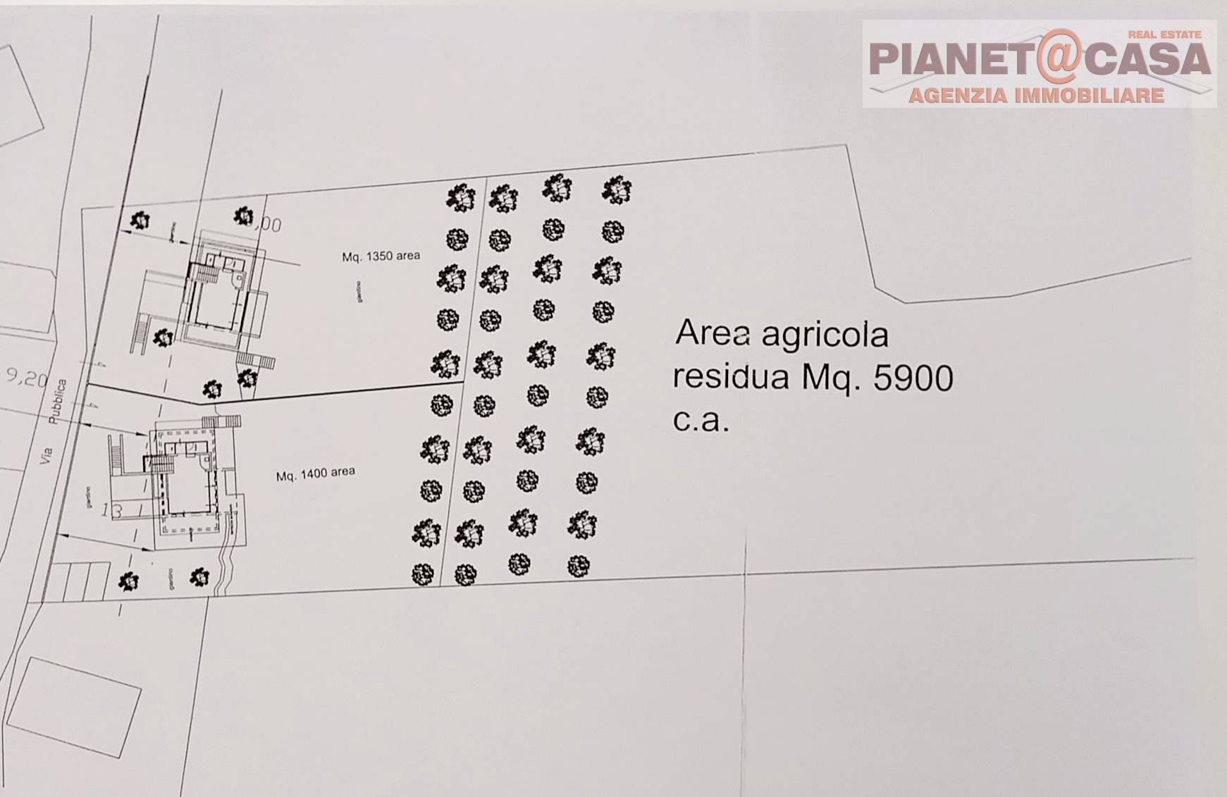 Terreno Agricolo in vendita a Castorano