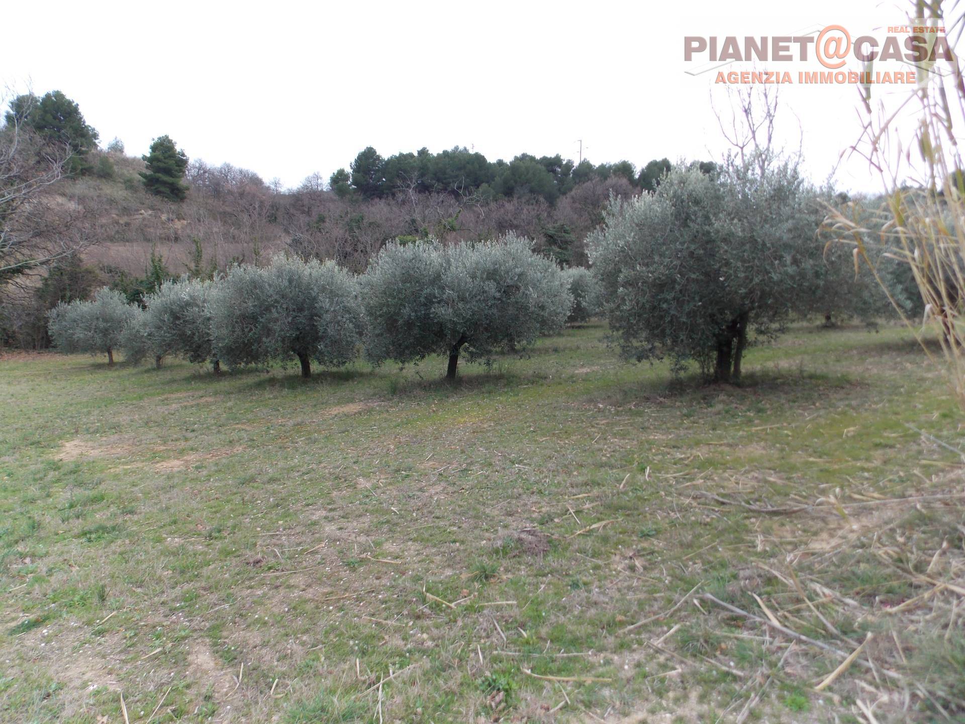 Terreno Agricolo in vendita a San Benedetto del Tronto, SANTA LUCIA