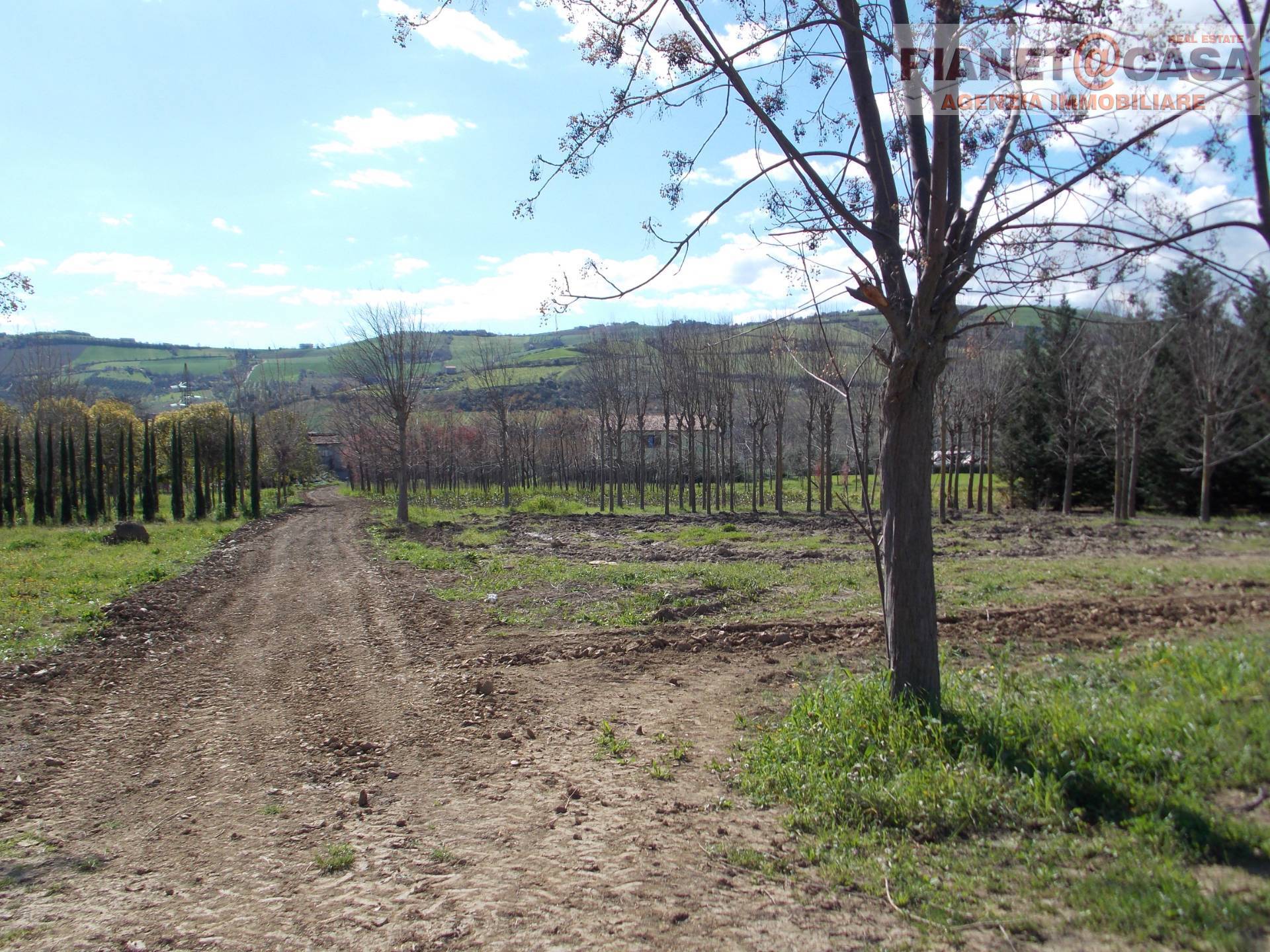 Terreno Agricolo in vendita a Colli del Tronto