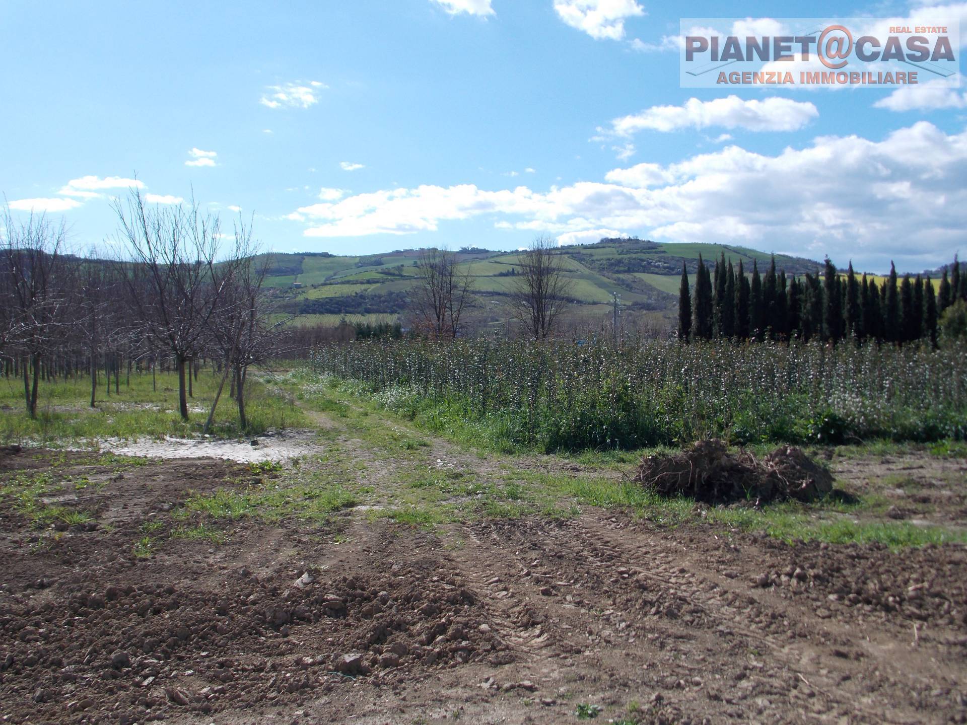 Terreno Agricolo in vendita a Colli del Tronto