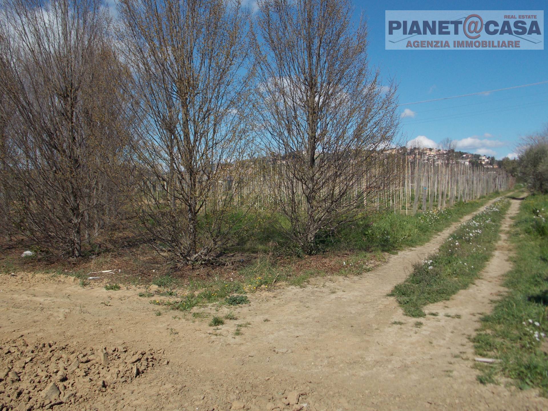 Terreno Agricolo in vendita a Colli del Tronto