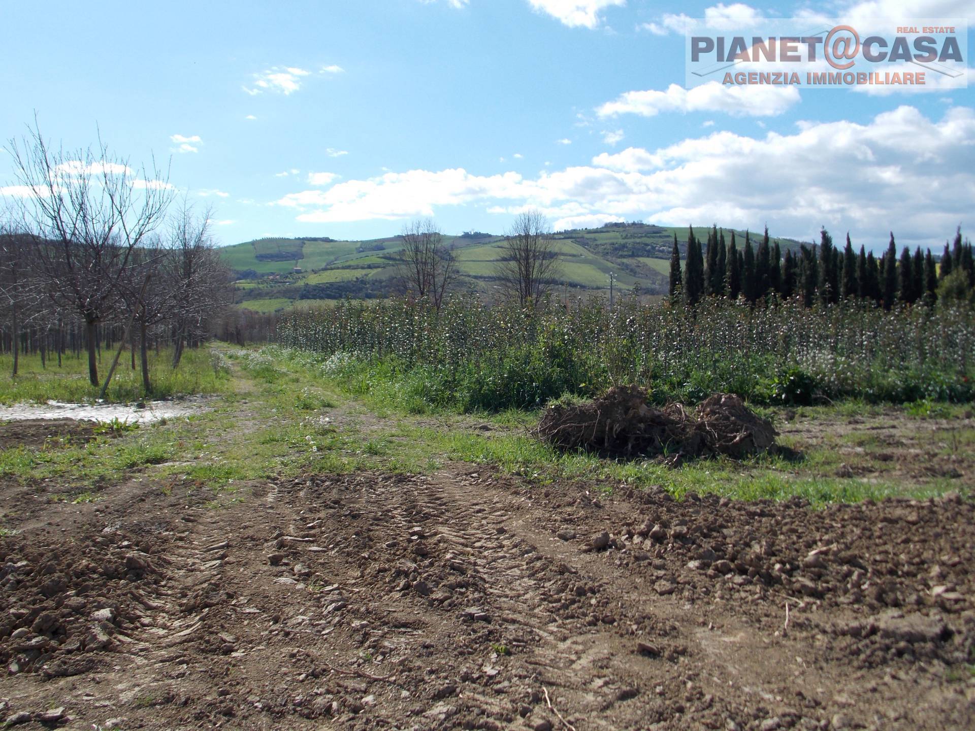 Terreno Agricolo in vendita a Colli del Tronto