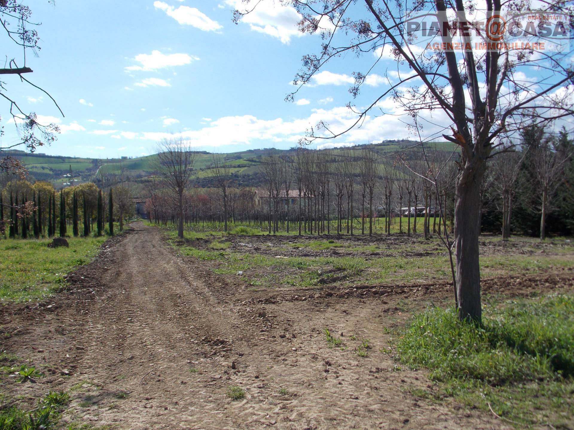 Terreno Agricolo in vendita a Colli del Tronto