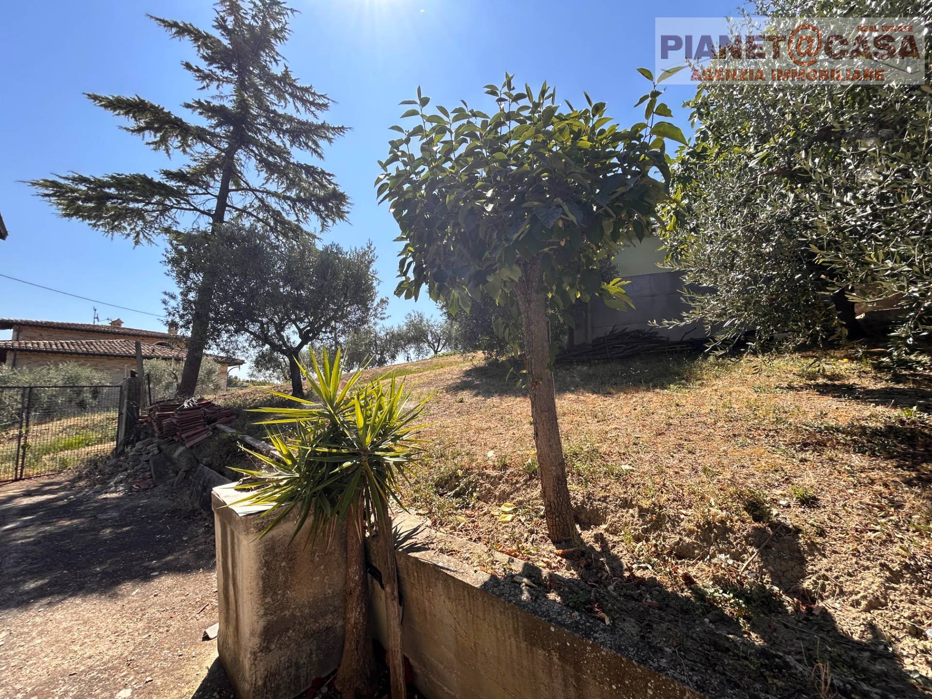 Casa indipendente in vendita a Castel di Lama