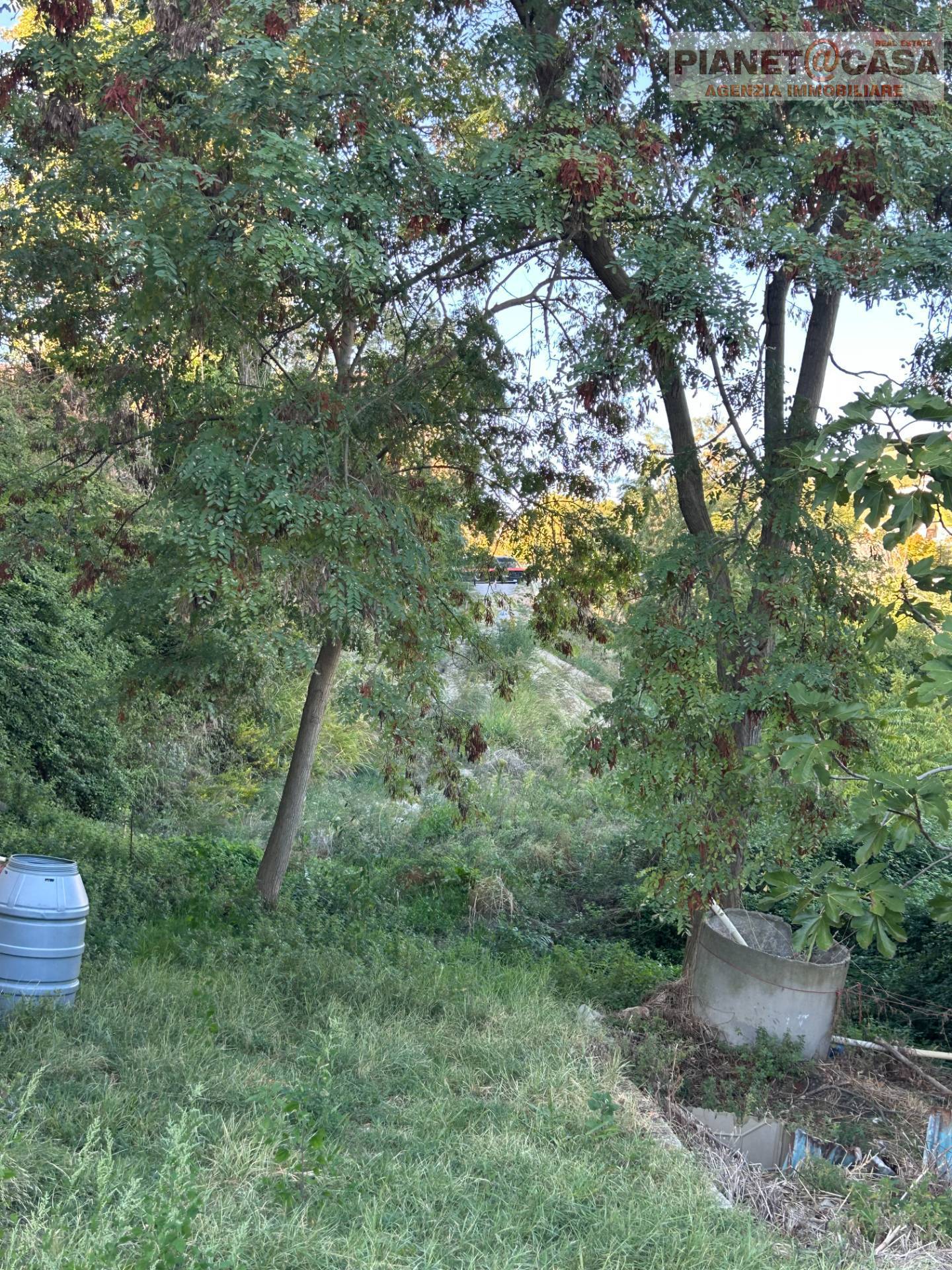 Rustico + Terreno in vendita a Offida