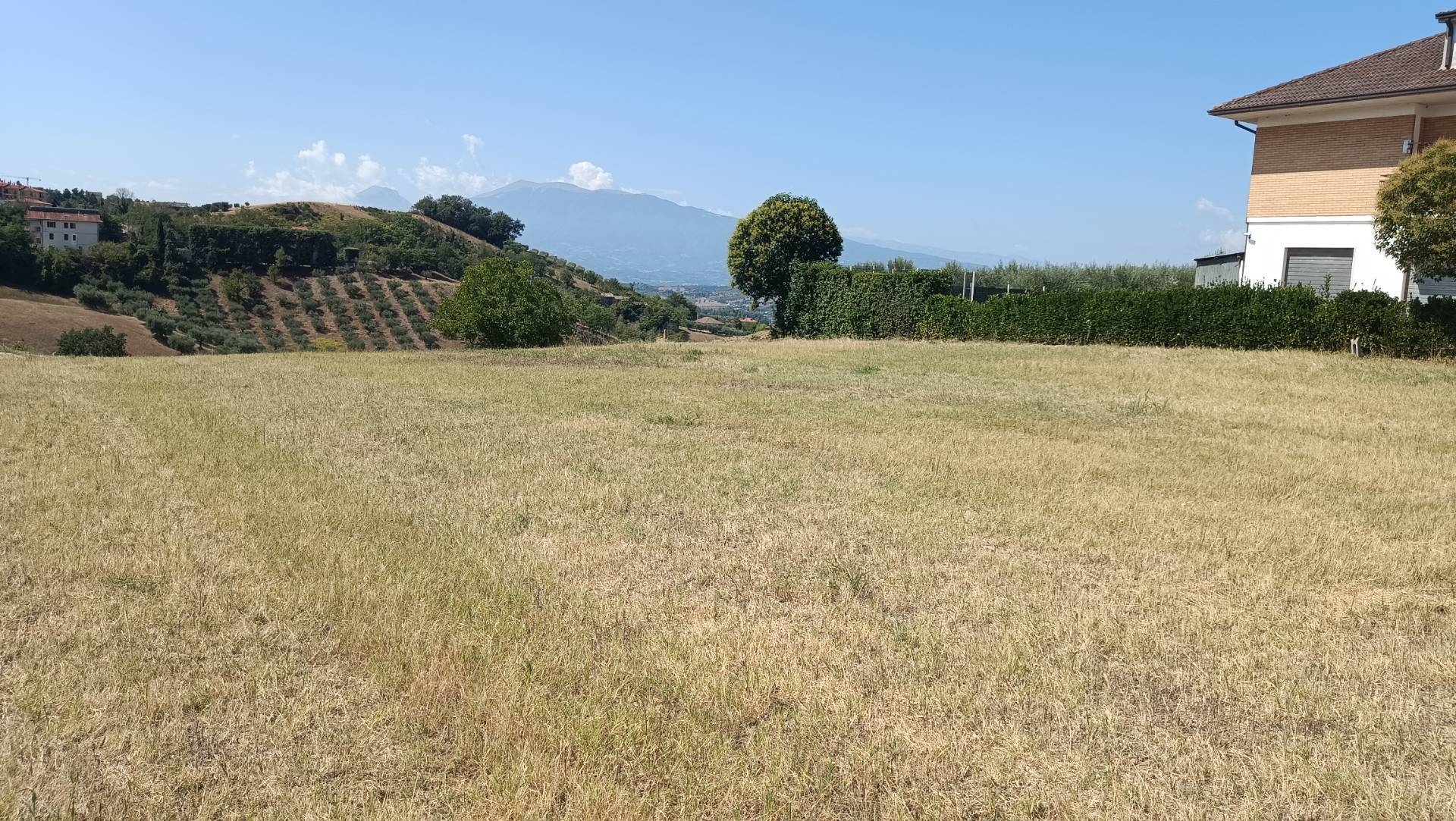 Terreno in vendita, Castorano palazzi