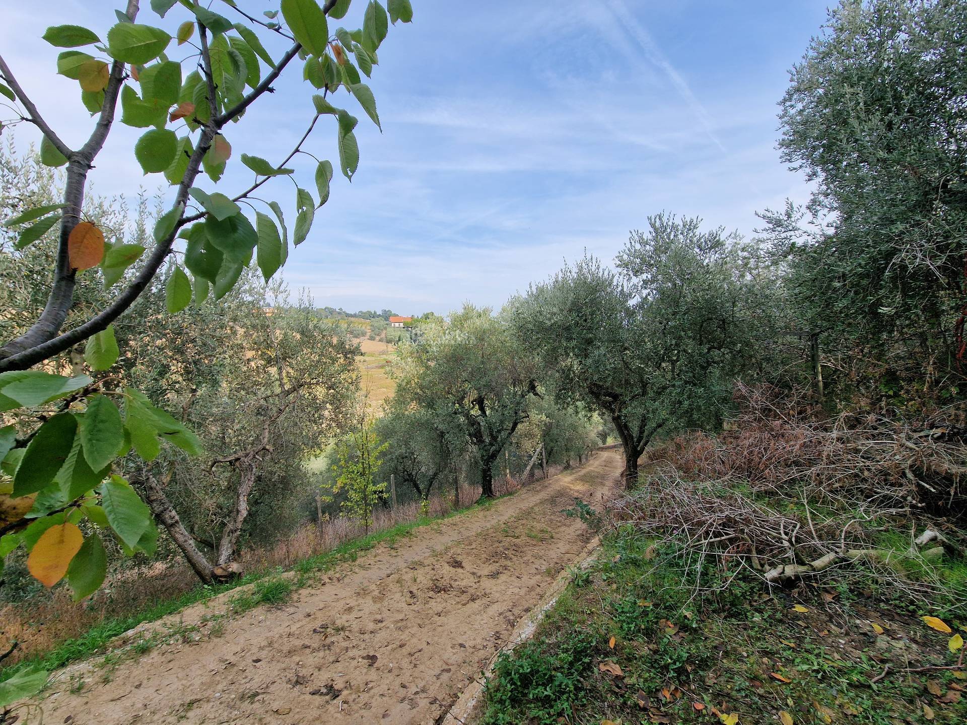 immagine annuncio 5 di 6