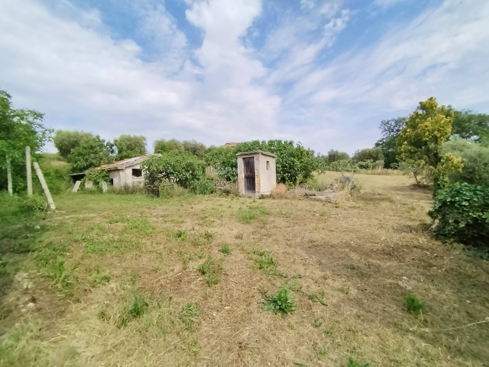 Casale / Rustico in vendita a Monteprandone, COLLINARE