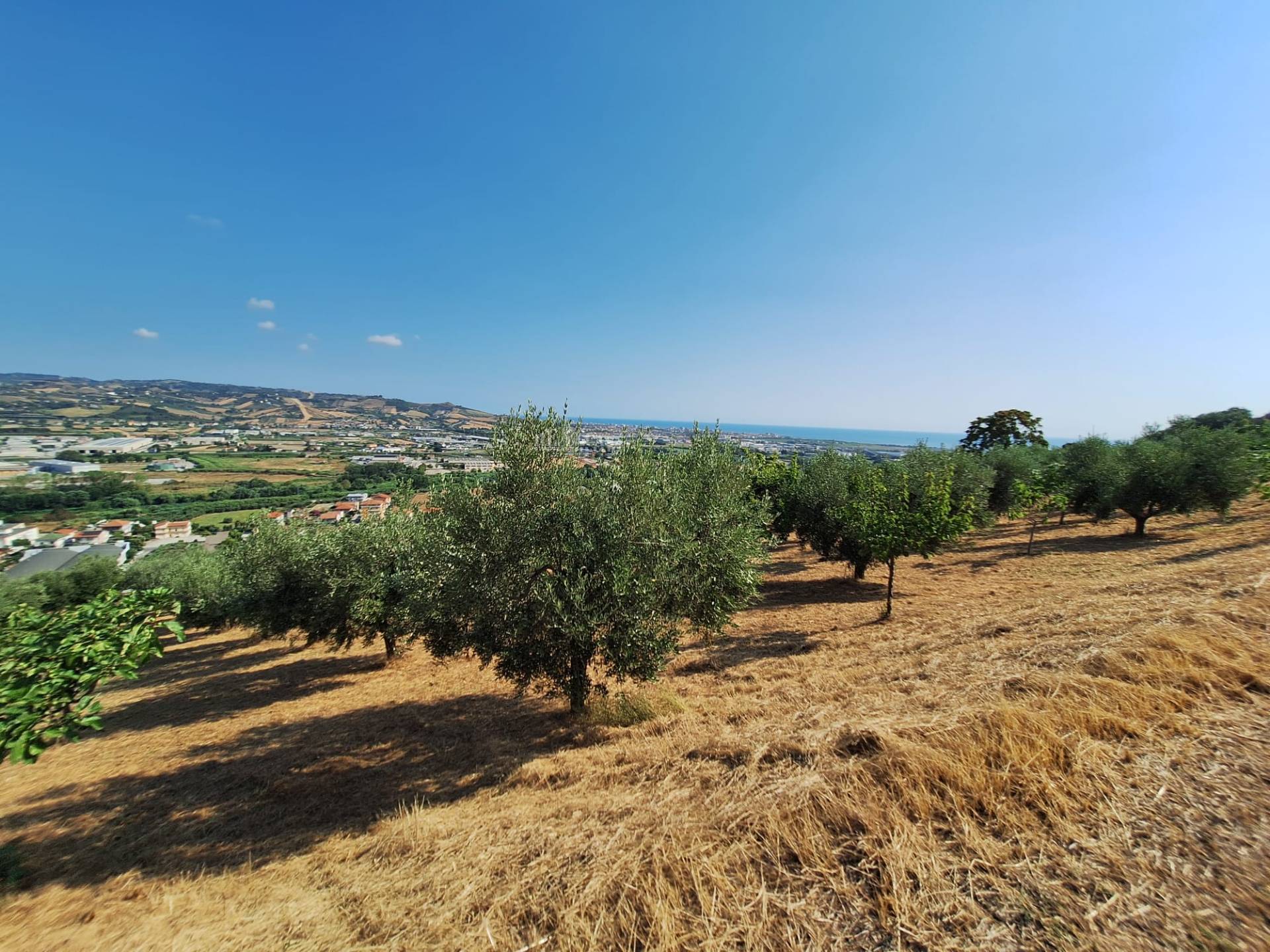 immagine annuncio 3 di 6