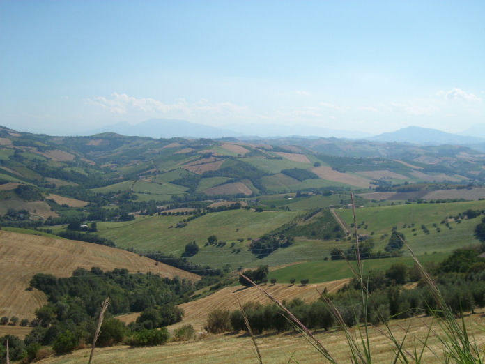 immagine annuncio 1 di 6