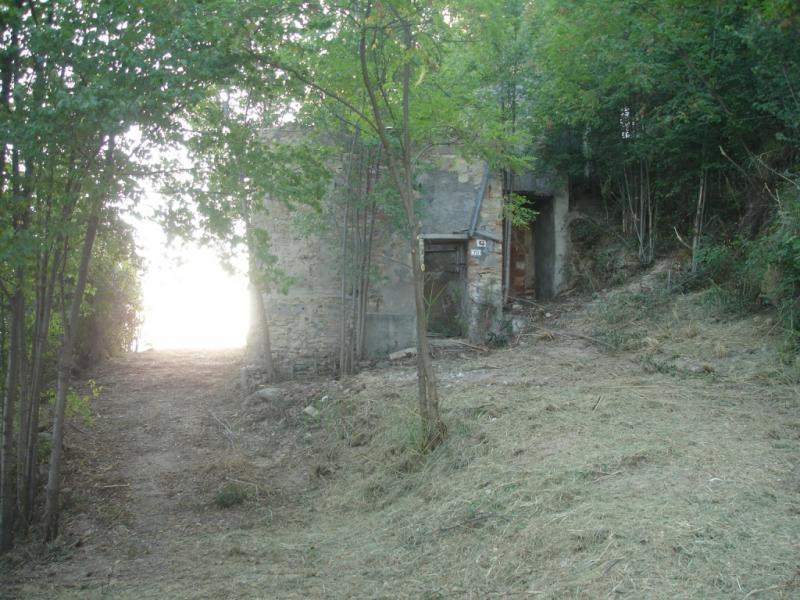 immagine annuncio 3 di 6