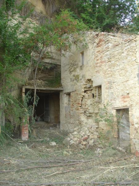 immagine annuncio 5 di 6