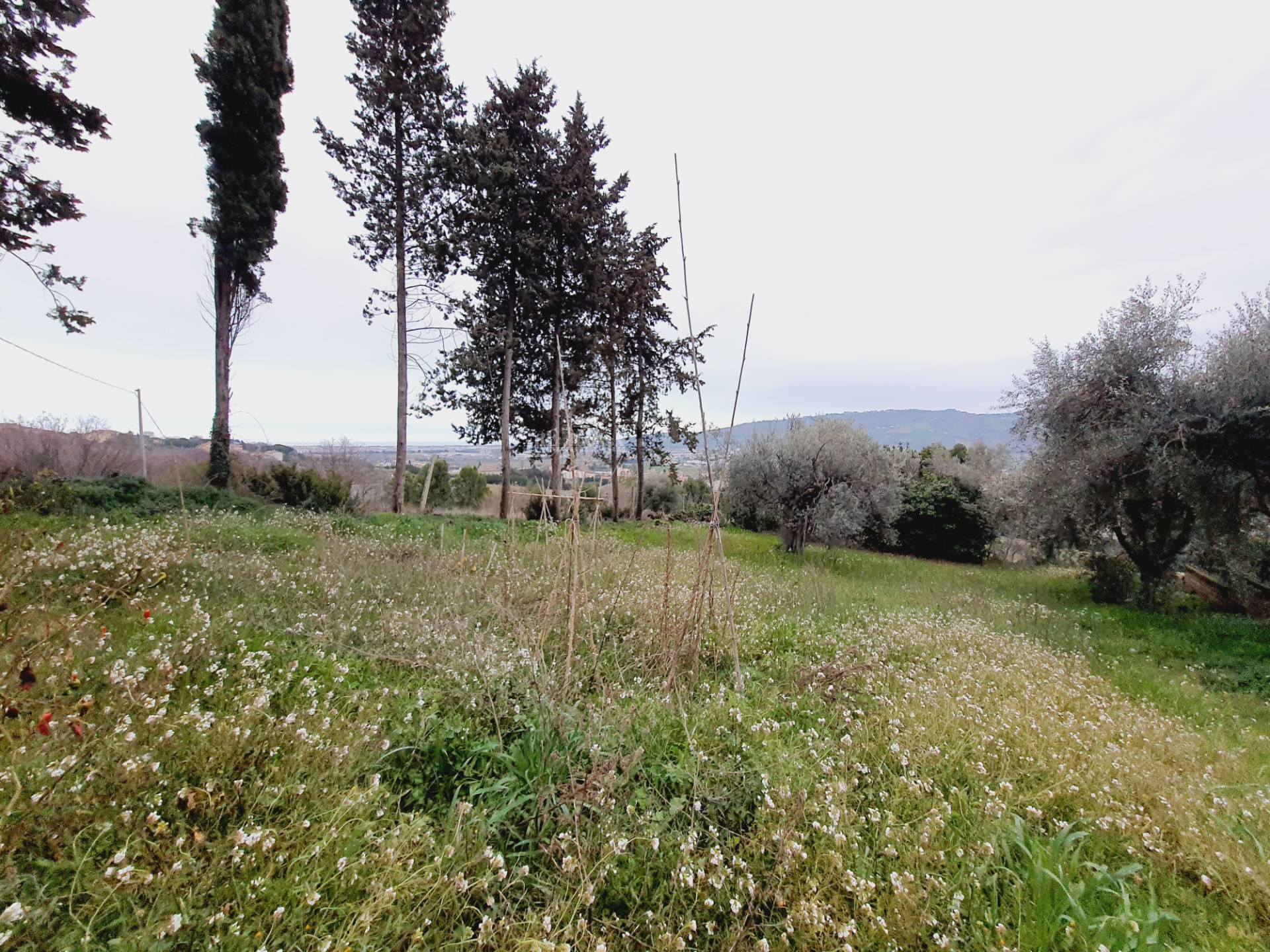 Terreno edificabile residenziale in vendita a Monteprandone, CENTOBUCHI (sopra la Salaria)