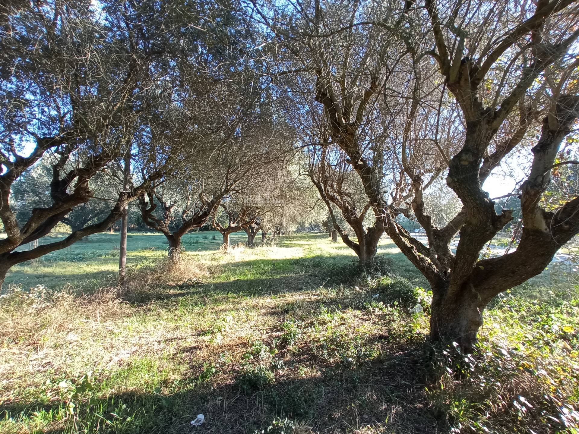 Casale / Rustico in vendita a Martinsicuro, Zona Mare
