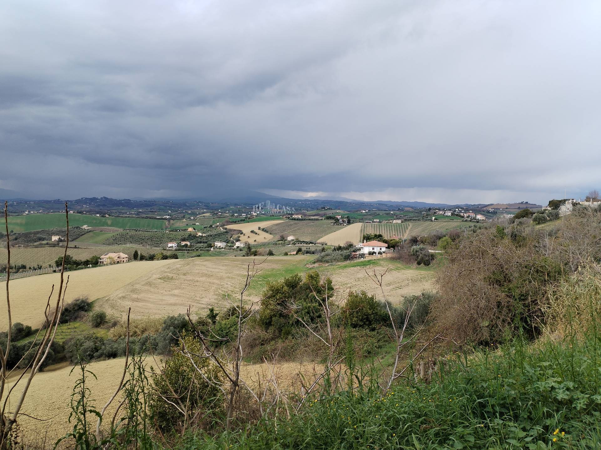 immagine annuncio 1 di 6