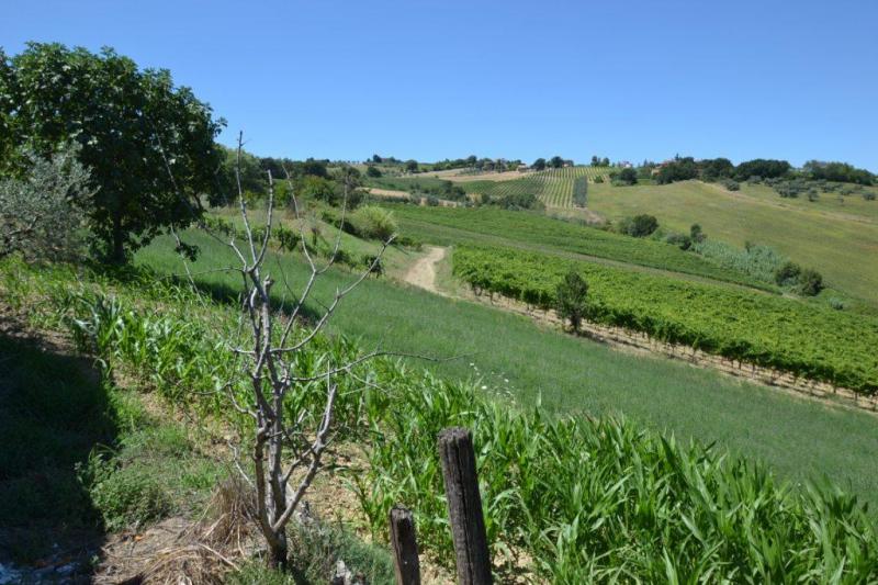 Casale / Rustico in vendita a Spinetoli, COLLINARE