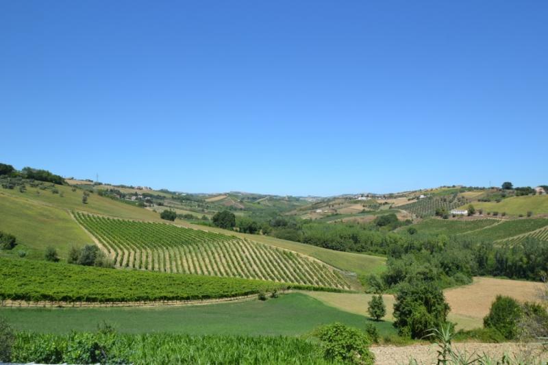 Casale / Rustico in vendita a Spinetoli, COLLINARE