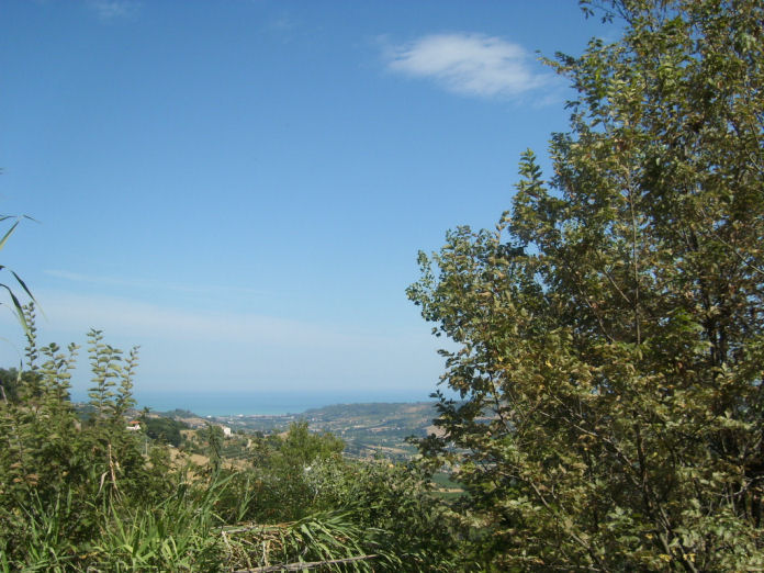 Casale / Rustico in vendita a Montefiore dell'Aso