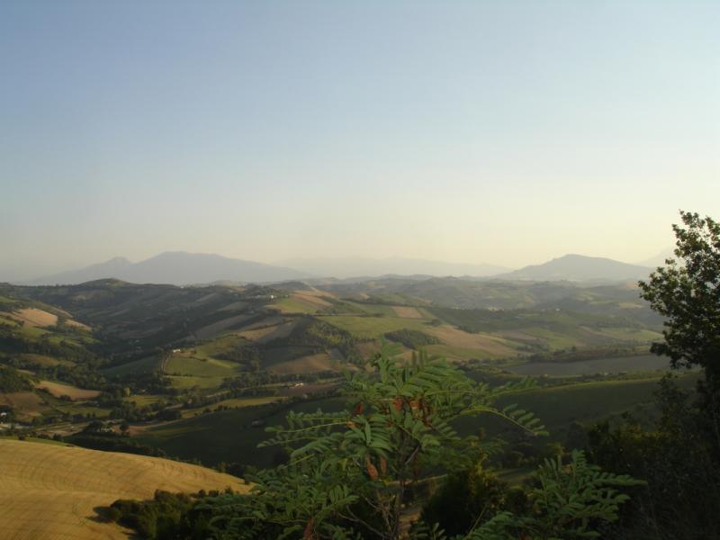 Casale / Rustico in vendita a Montefiore dell'Aso