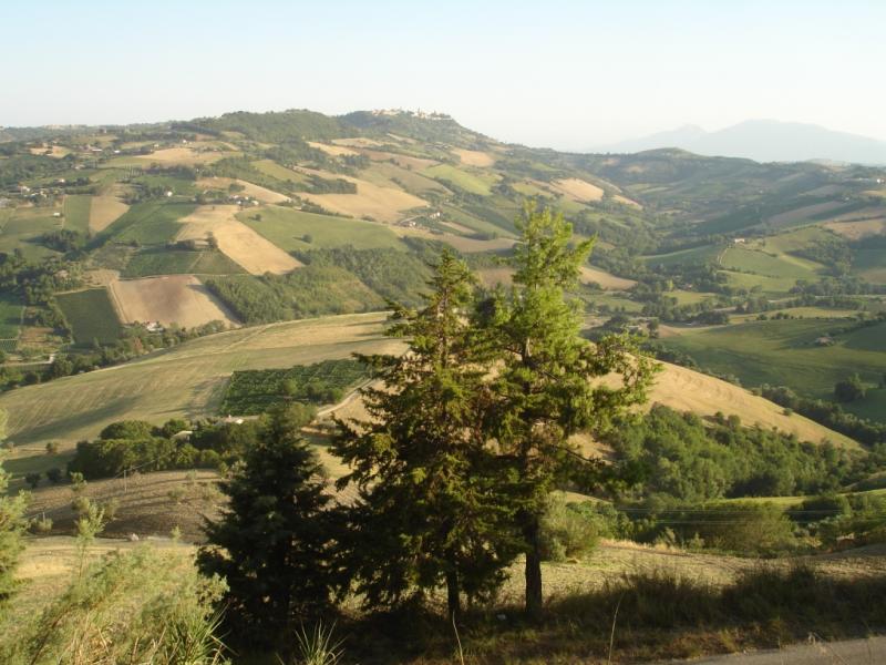 Casale / Rustico in vendita a Montefiore dell'Aso