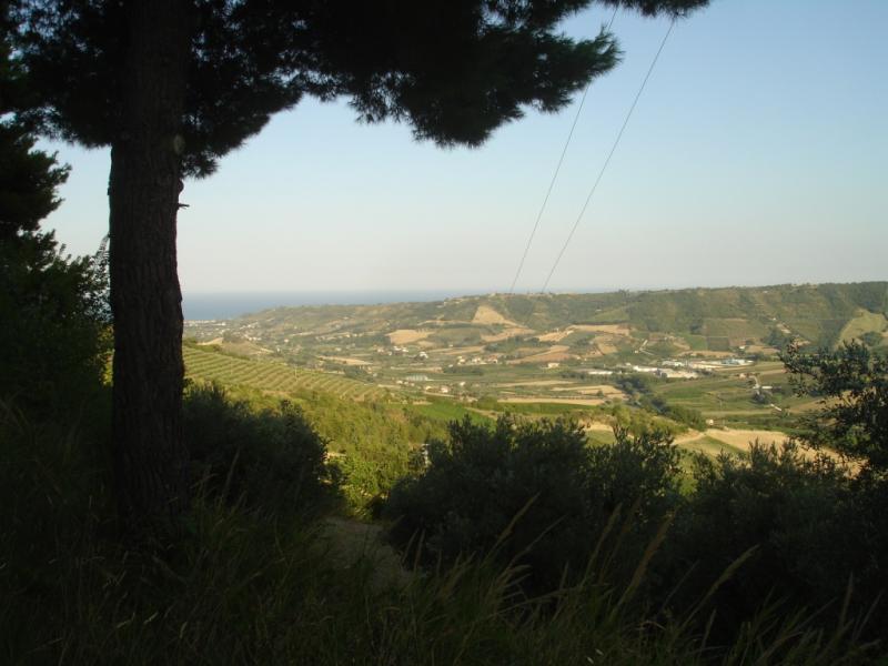 Casale / Rustico in vendita a Montefiore dell'Aso