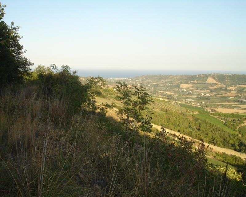 Casale / Rustico in vendita a Montefiore dell'Aso