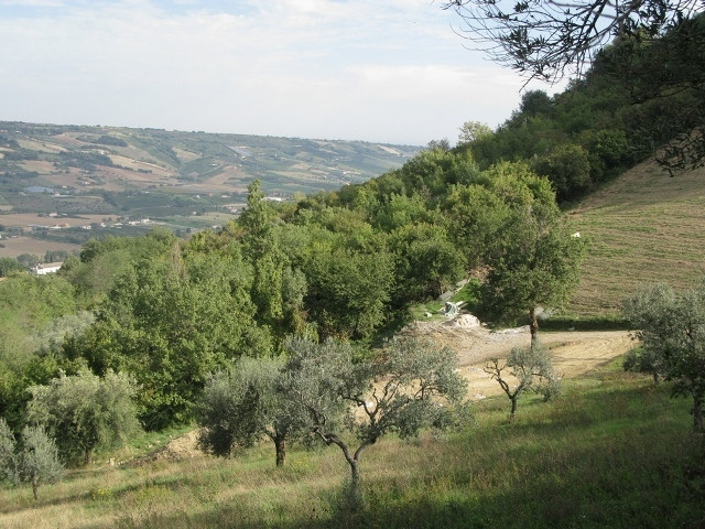 Casale / Rustico in vendita a Montefiore dell'Aso