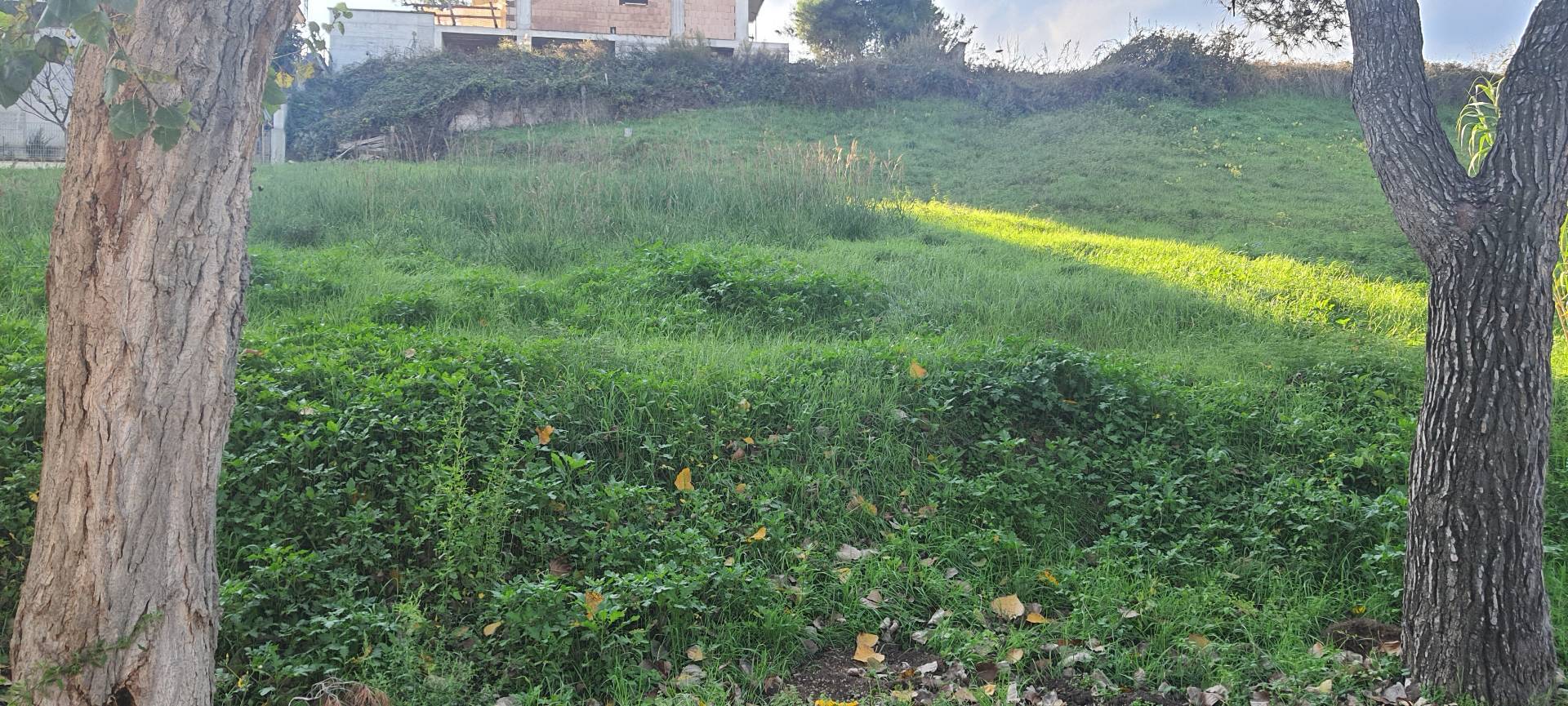 Terreno edificabile residenziale in vendita a San Benedetto del Tronto, RESIDENZIALE (sopra la Strad