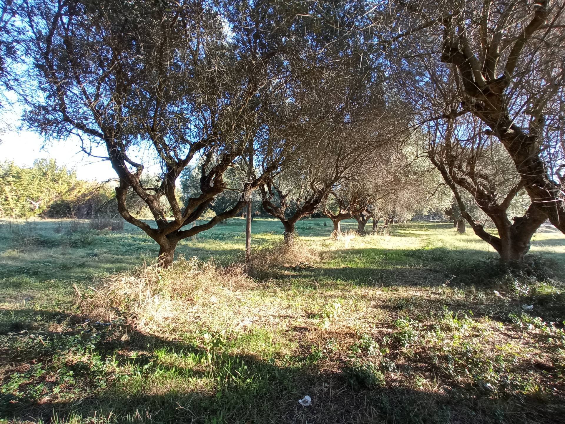 Casale / Rustico in vendita a Martinsicuro, Zona Mare