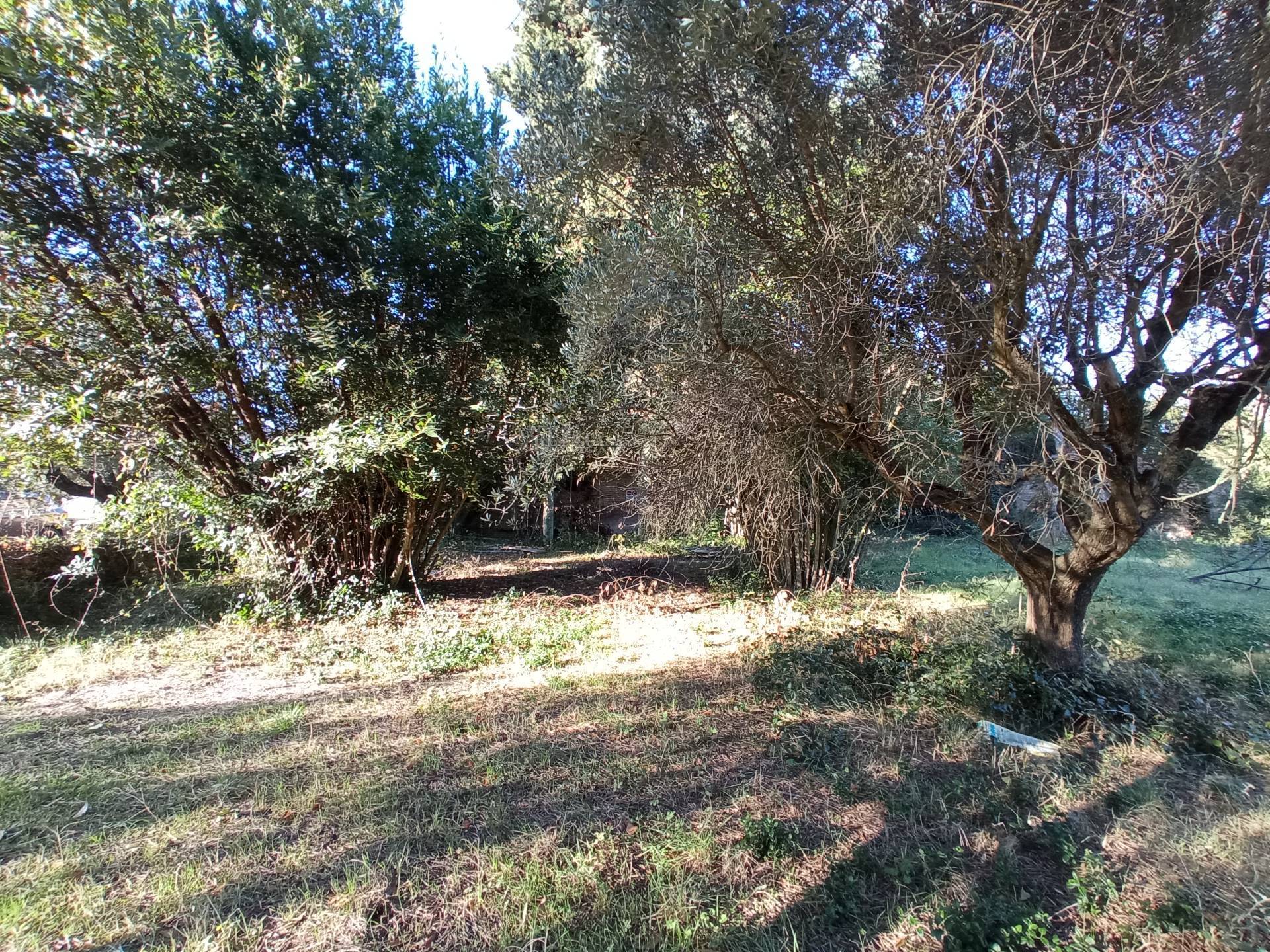 Casale / Rustico in vendita a Martinsicuro, Zona Mare