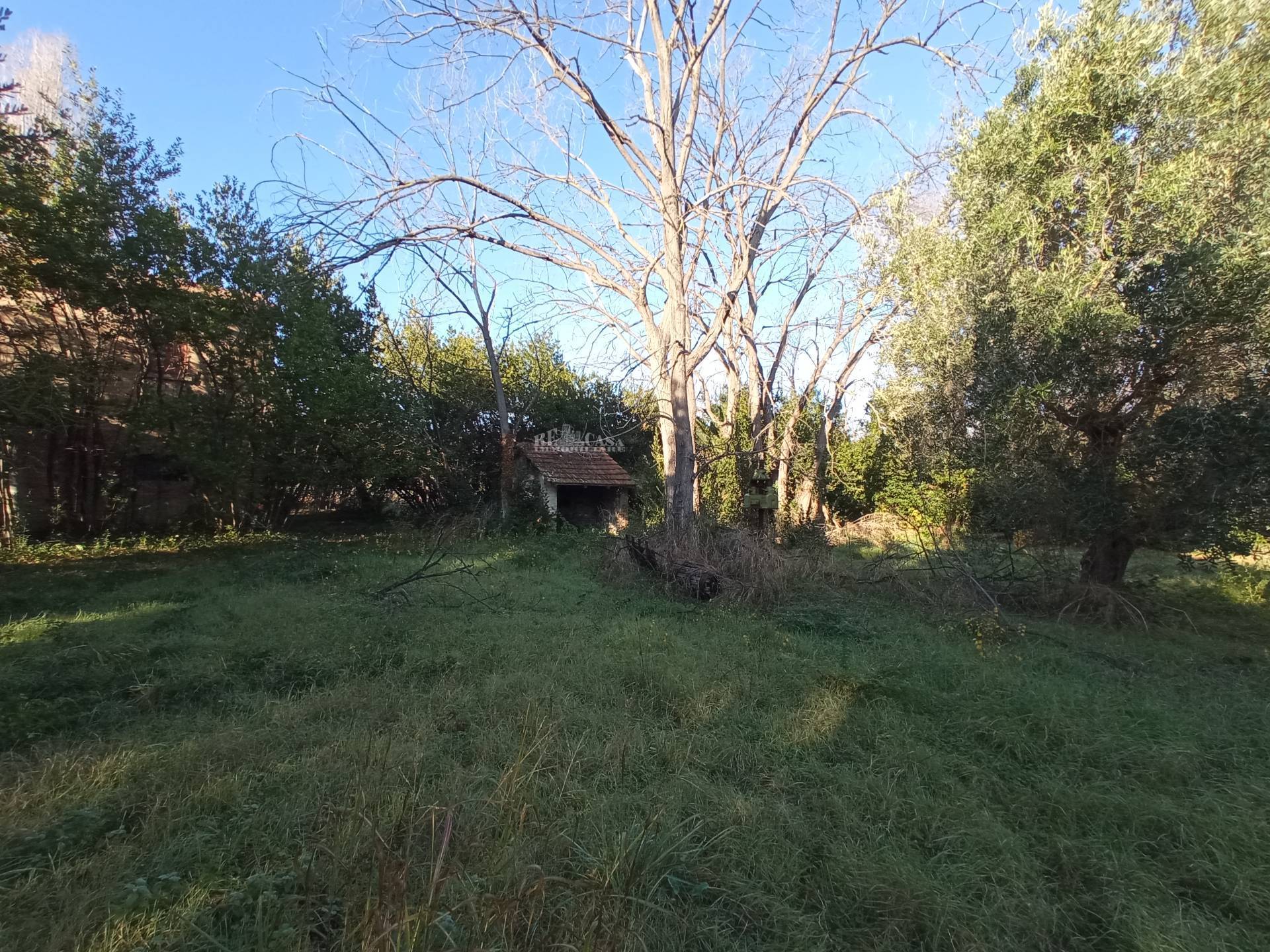 Casale / Rustico in vendita a Martinsicuro, Zona Mare