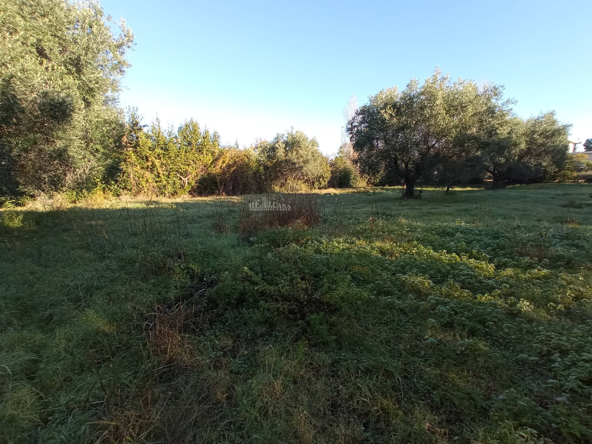 Casale / Rustico in vendita a Martinsicuro, Zona Mare