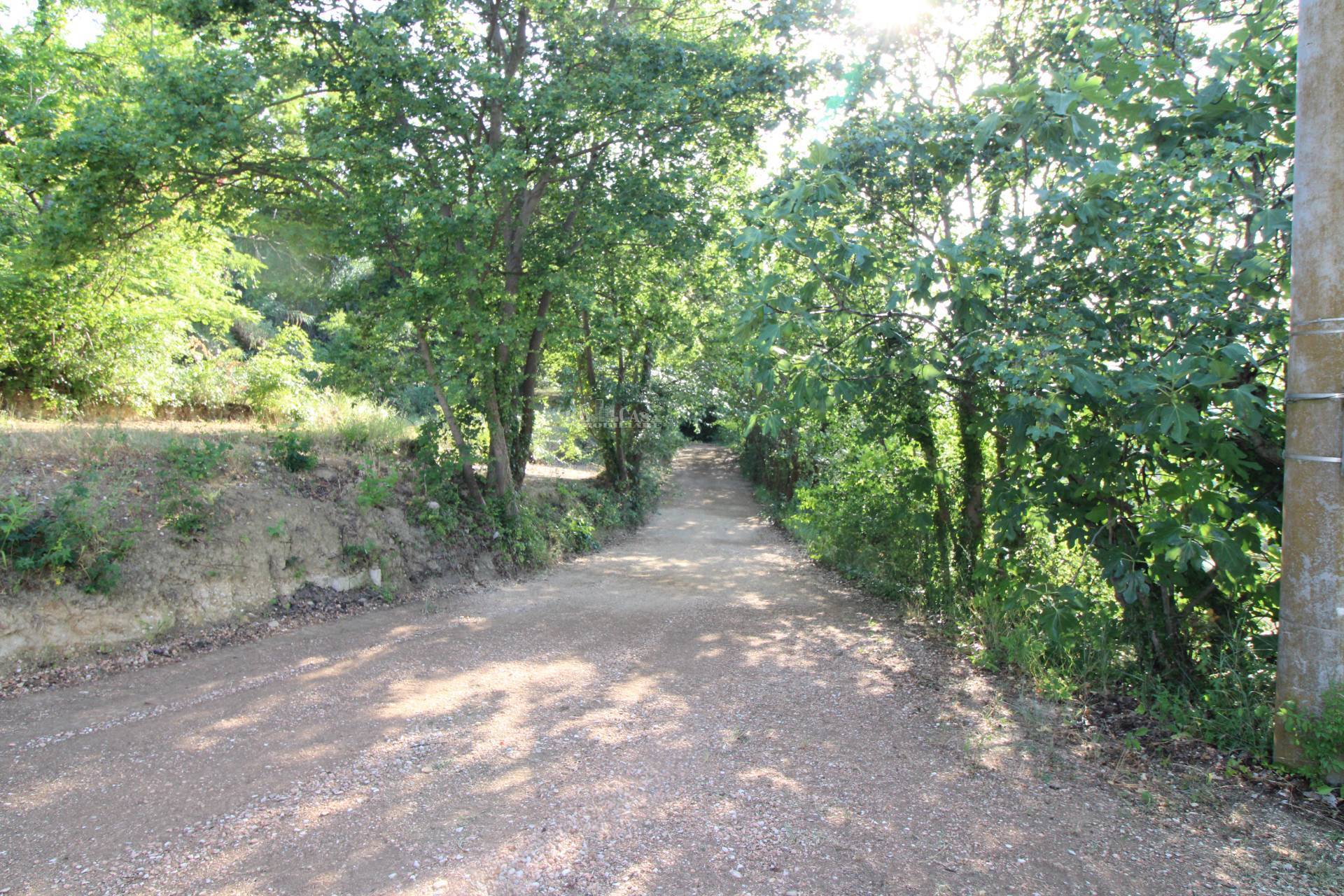 Casale / Rustico in vendita a Montefiore dell'Aso