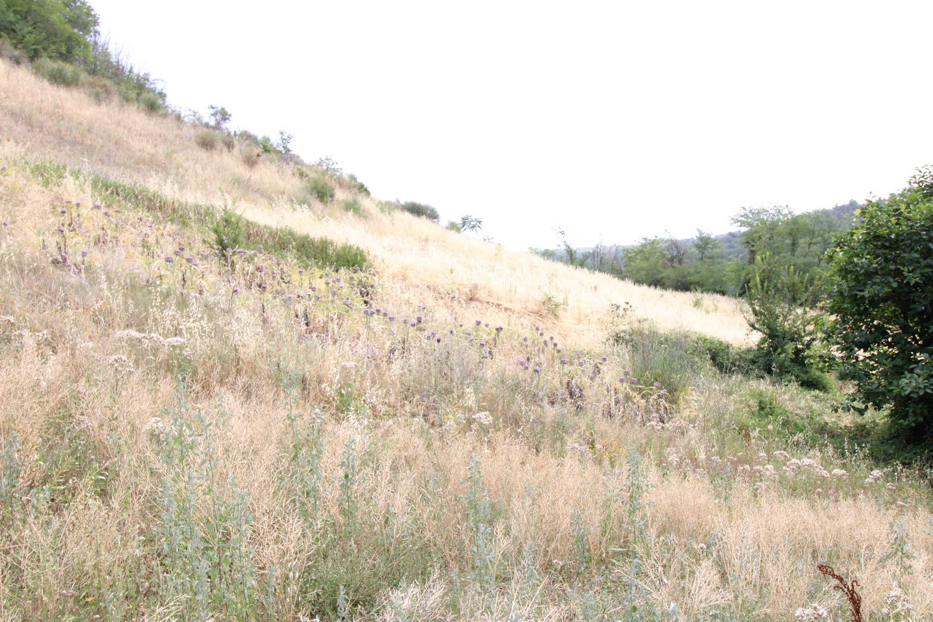 Casale / Rustico in vendita a Ripatransone, COLLINARE