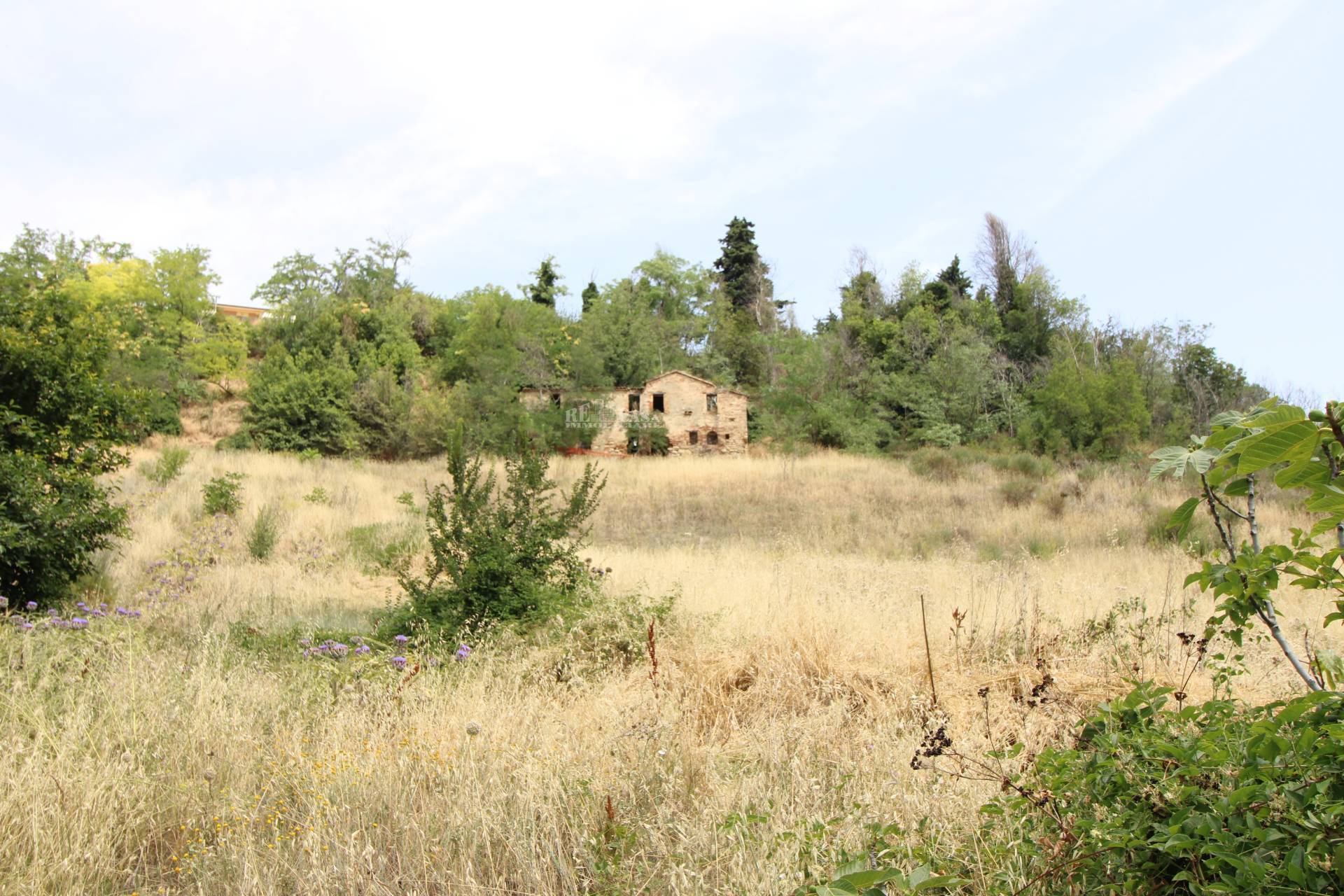 Casale / Rustico in vendita a Ripatransone, COLLINARE