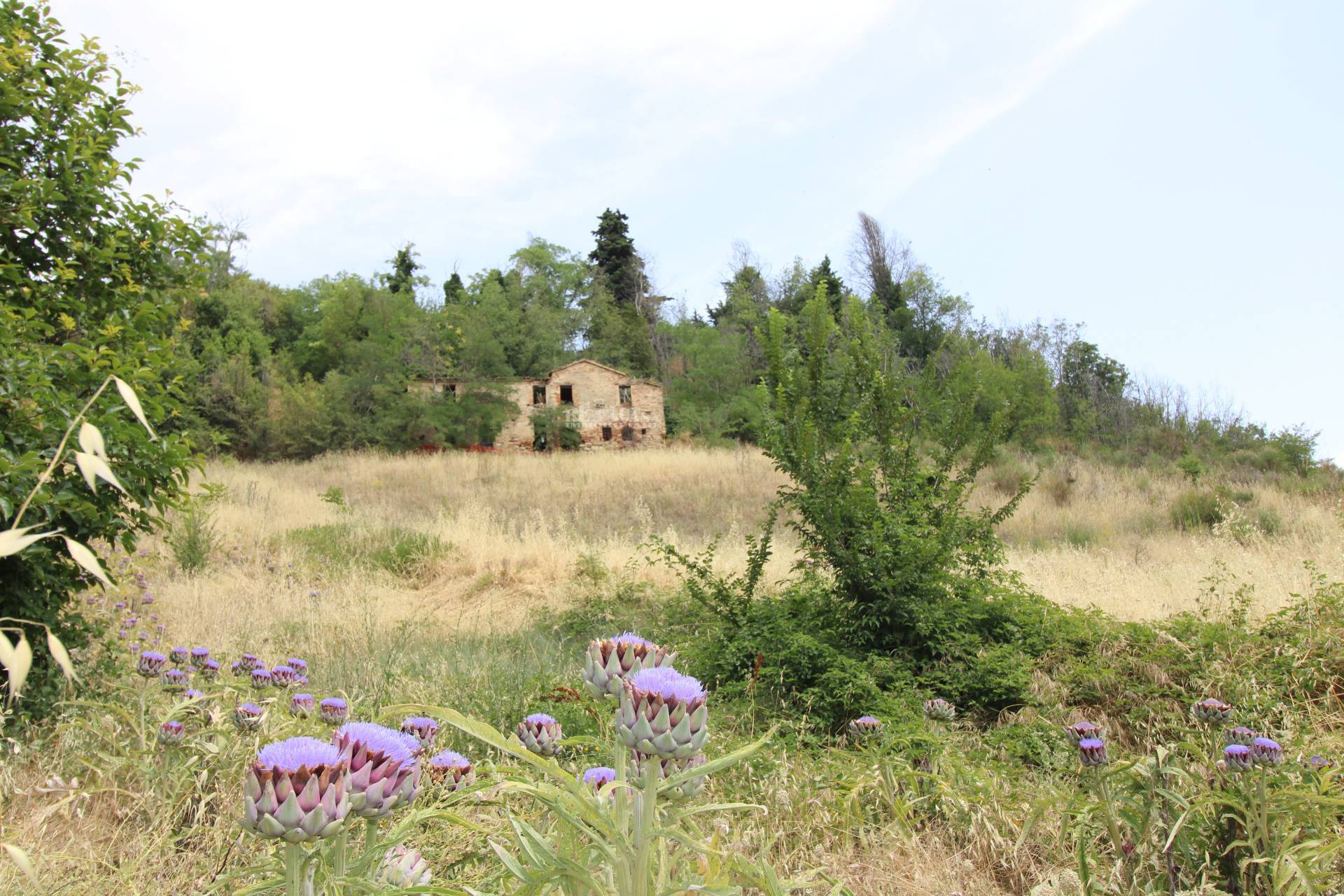 Casale / Rustico in vendita a Ripatransone, COLLINARE