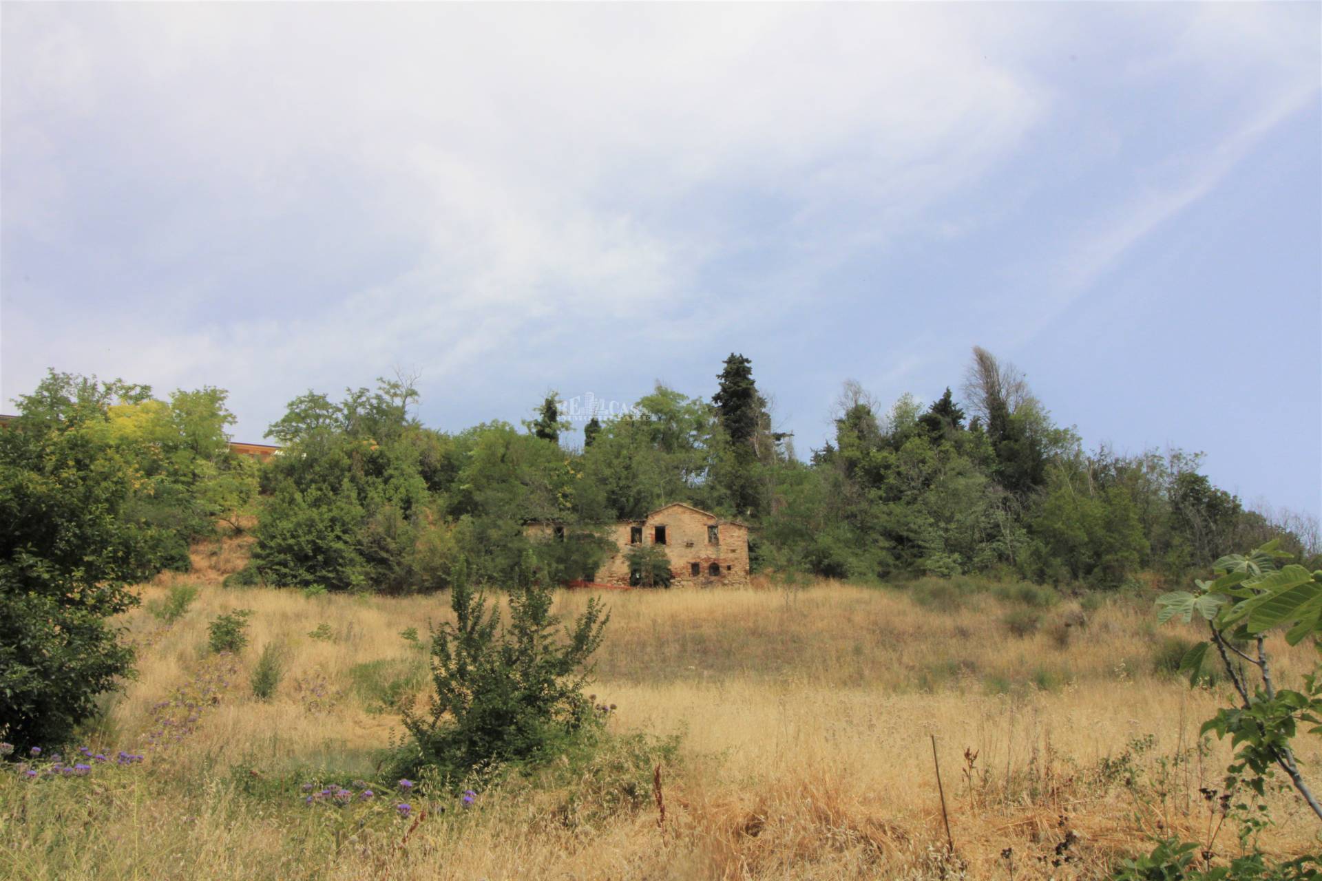 Casale / Rustico in vendita a Ripatransone, COLLINARE