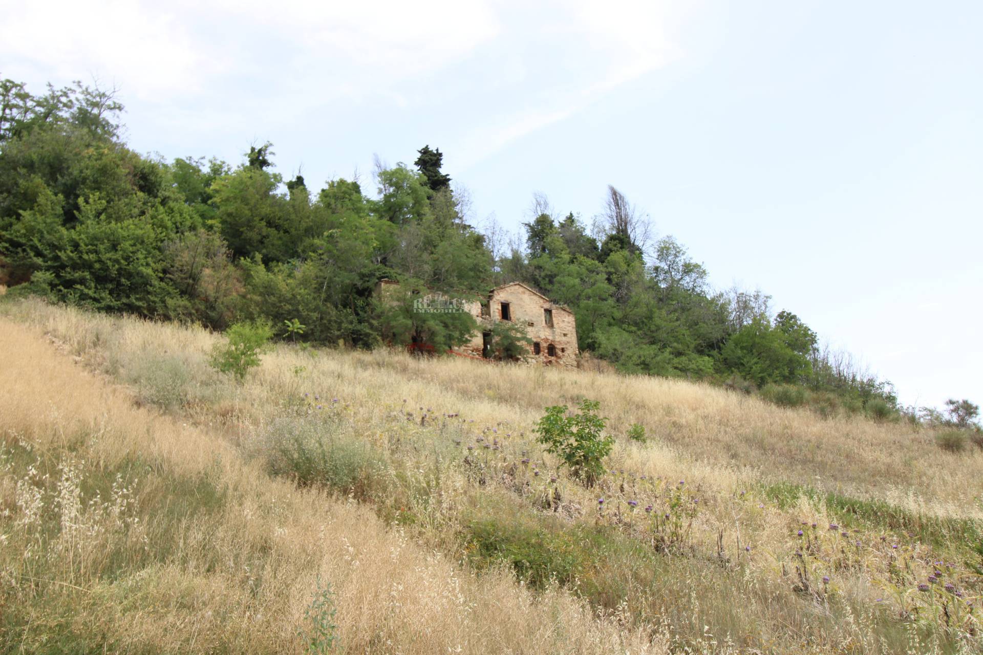 Casale / Rustico in vendita a Ripatransone, COLLINARE