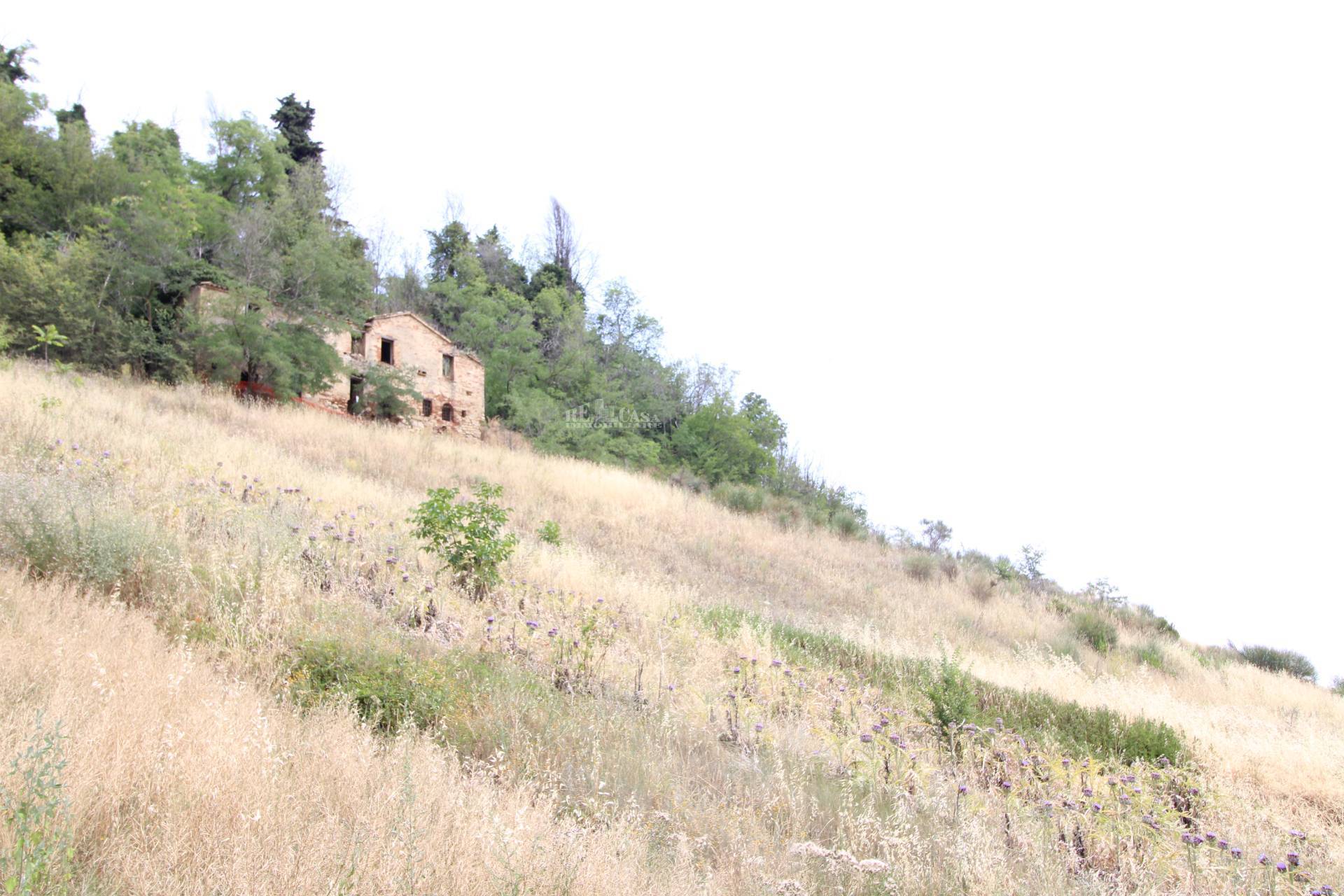 Casale / Rustico in vendita a Ripatransone, COLLINARE